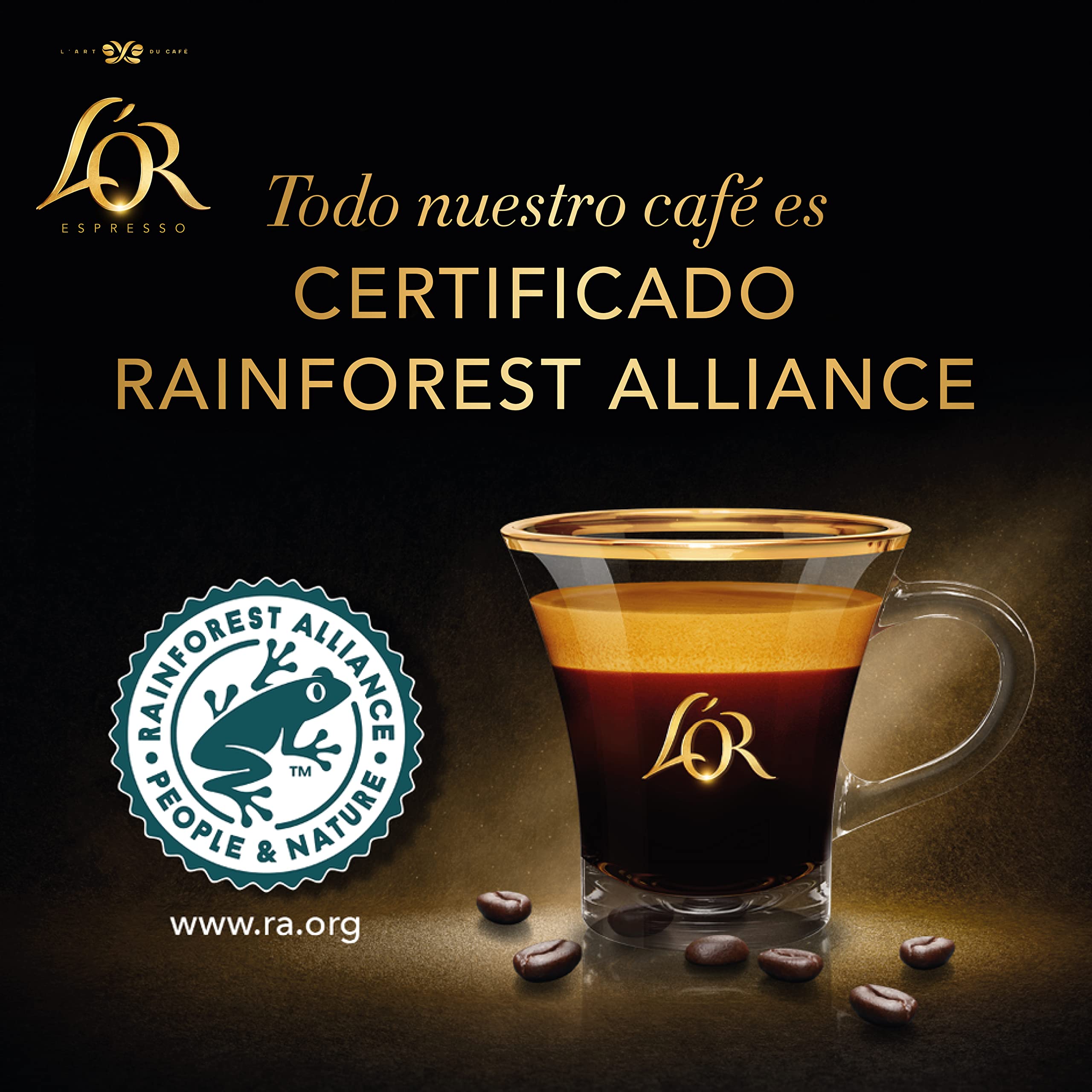 L'OR Espresso Ristretto Coffee Pods - Intensity 11, Ginger & Cardamom | 200 Count 4