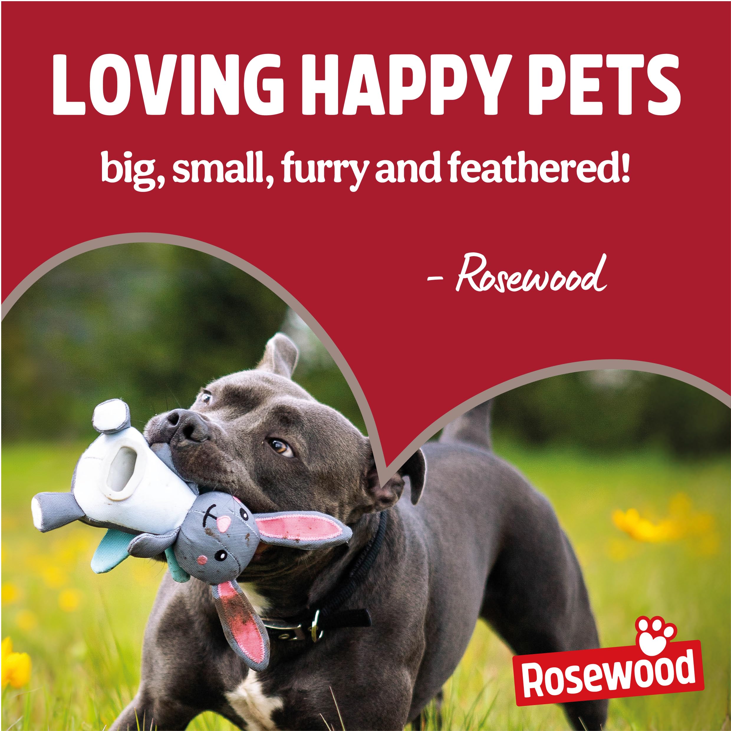 Rosewood Dog Poo Bags with Handles - 240 Bags, 12 Rolls, Vanilla Scented 8