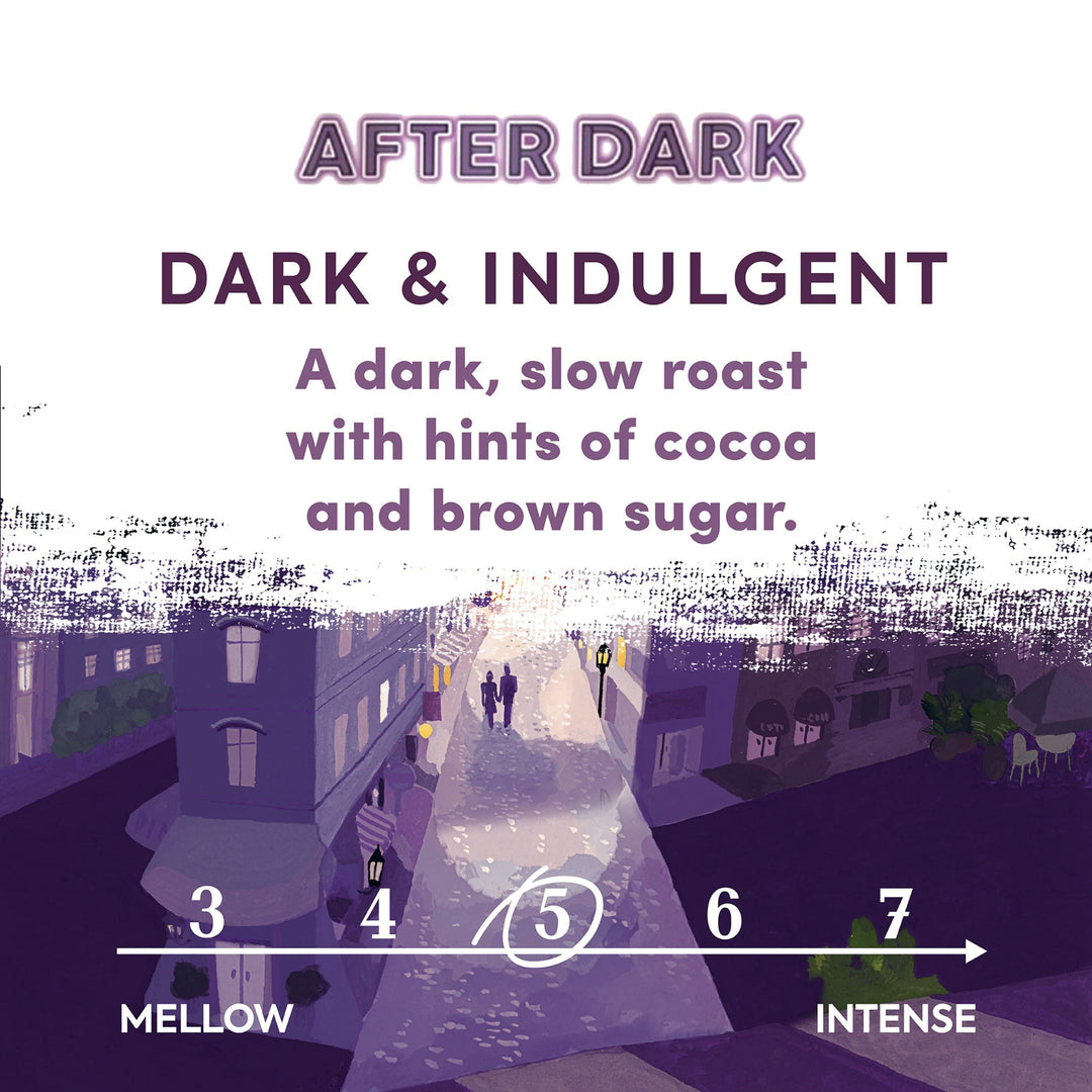 Taylors of Harrogate After Dark Ground Coffee, 200g (Pack of 6 - Total 1.2kg)