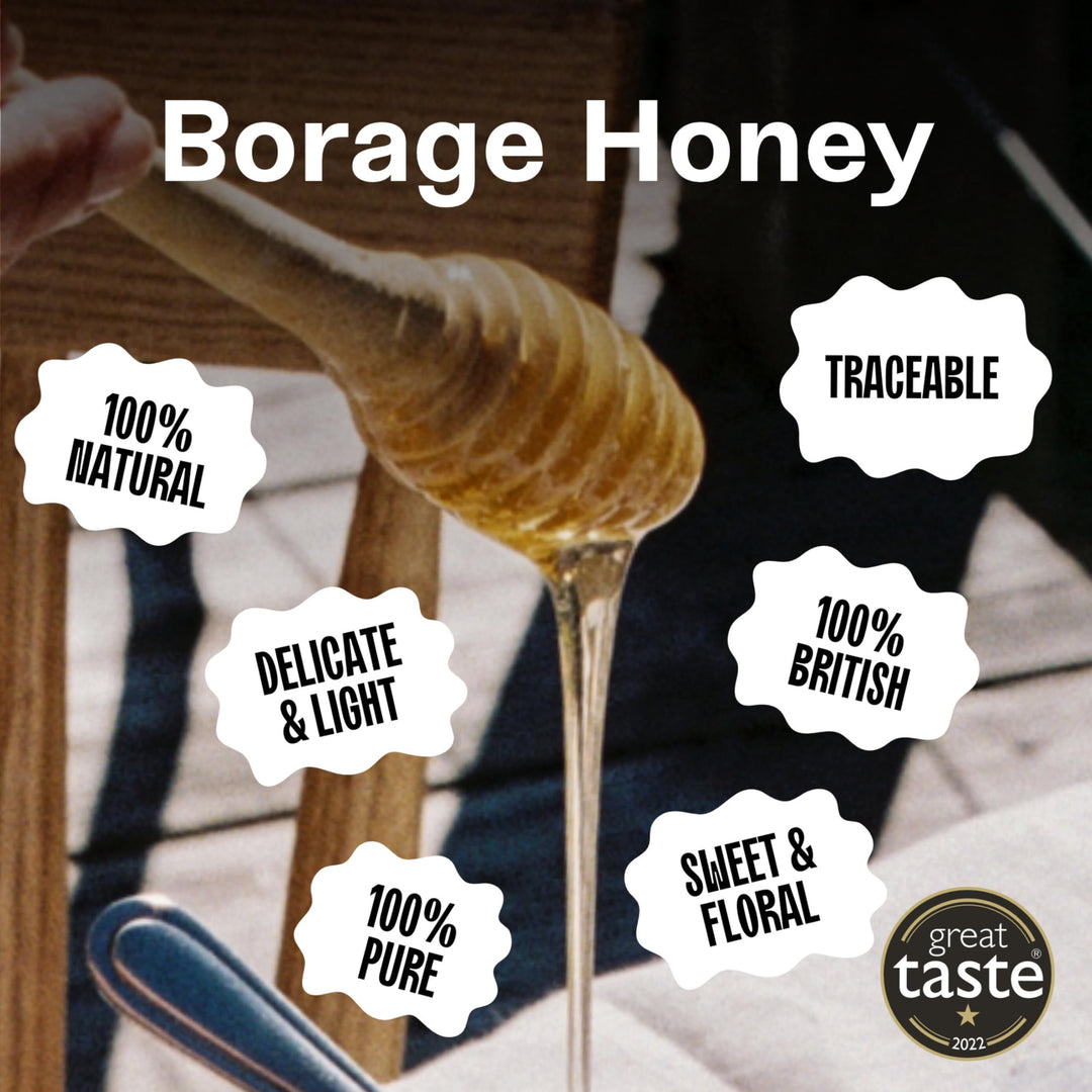 Black Bee Honey - Starflower Honey Pure British Borage Light Sweet and Floral