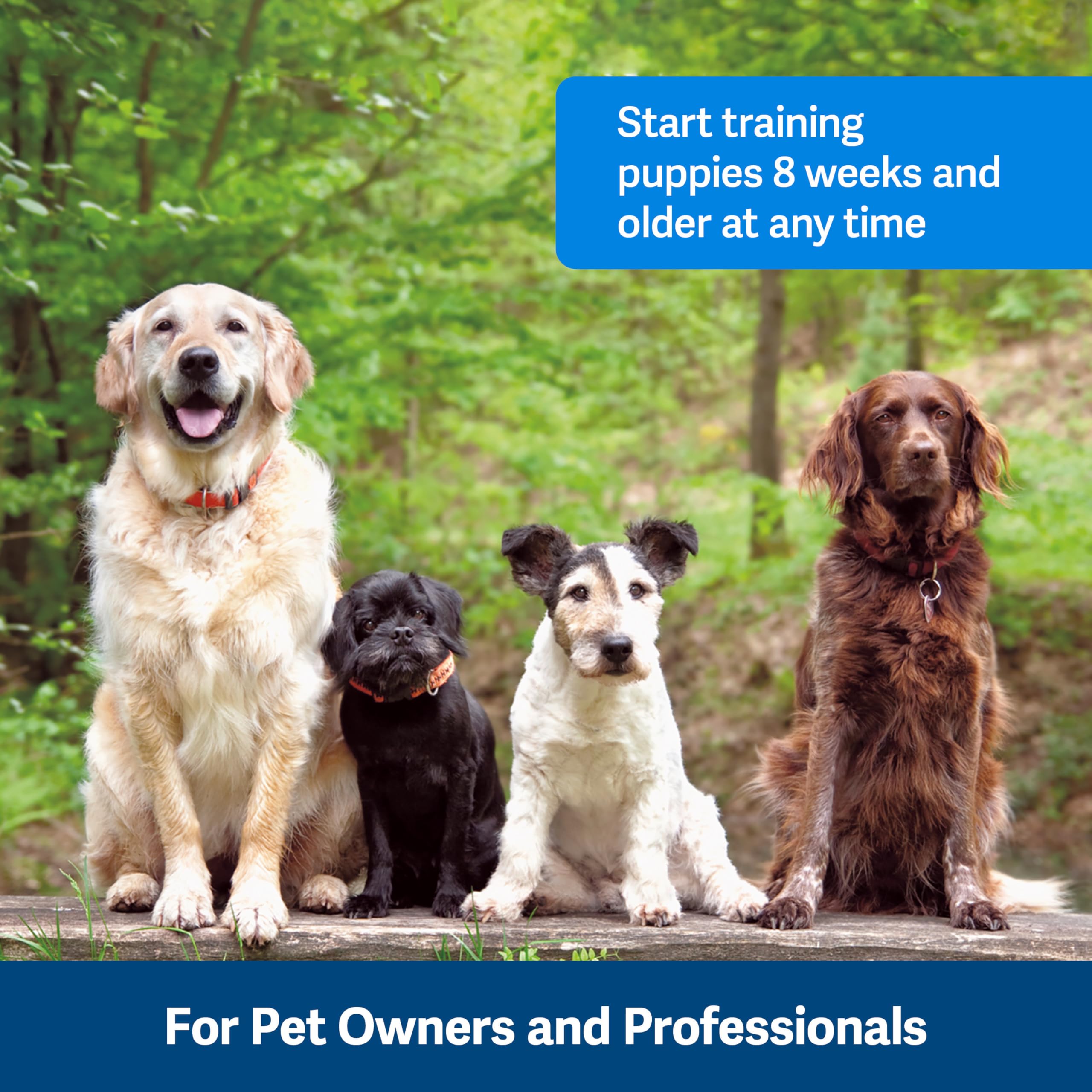 PetSafe Clik-R Training Clicker - Purple | Ergonomic Design | All Ages & Skill Levels 5
