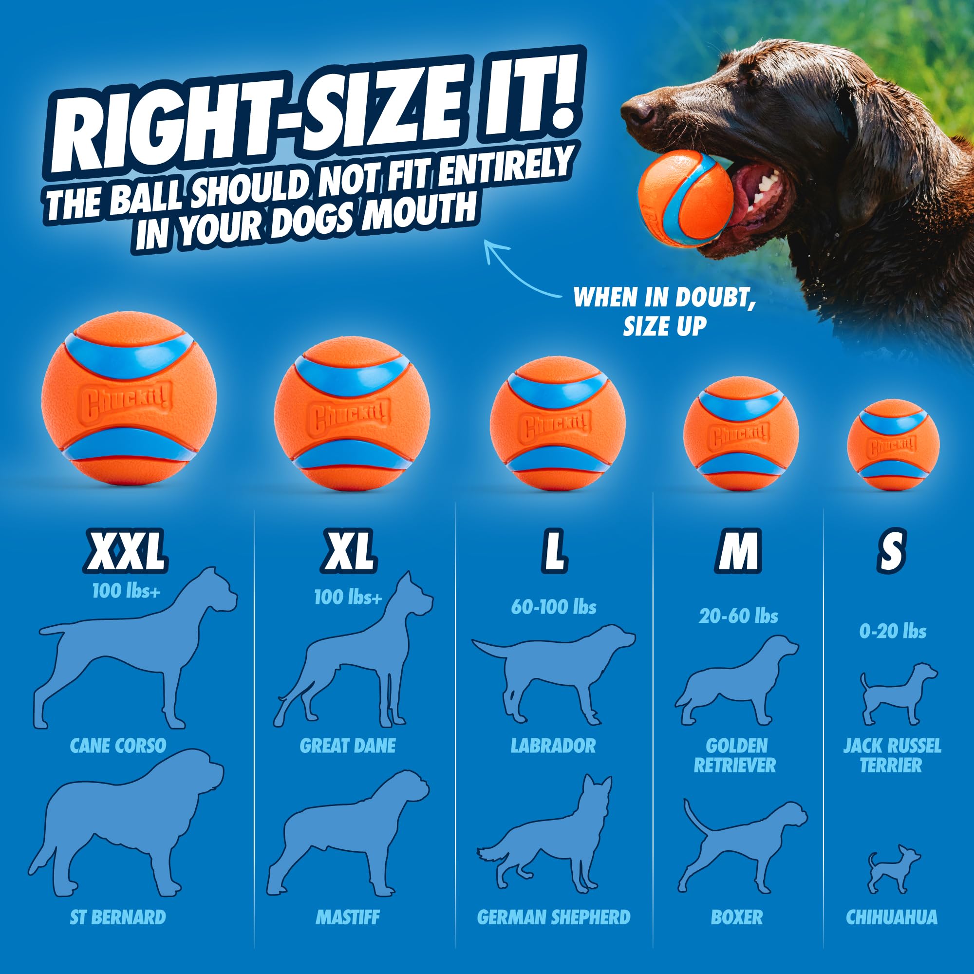 Chuckit! Sport Ball Launcher - Hands-Free Pickup & Throw | Medium Size | 30cm Long 8