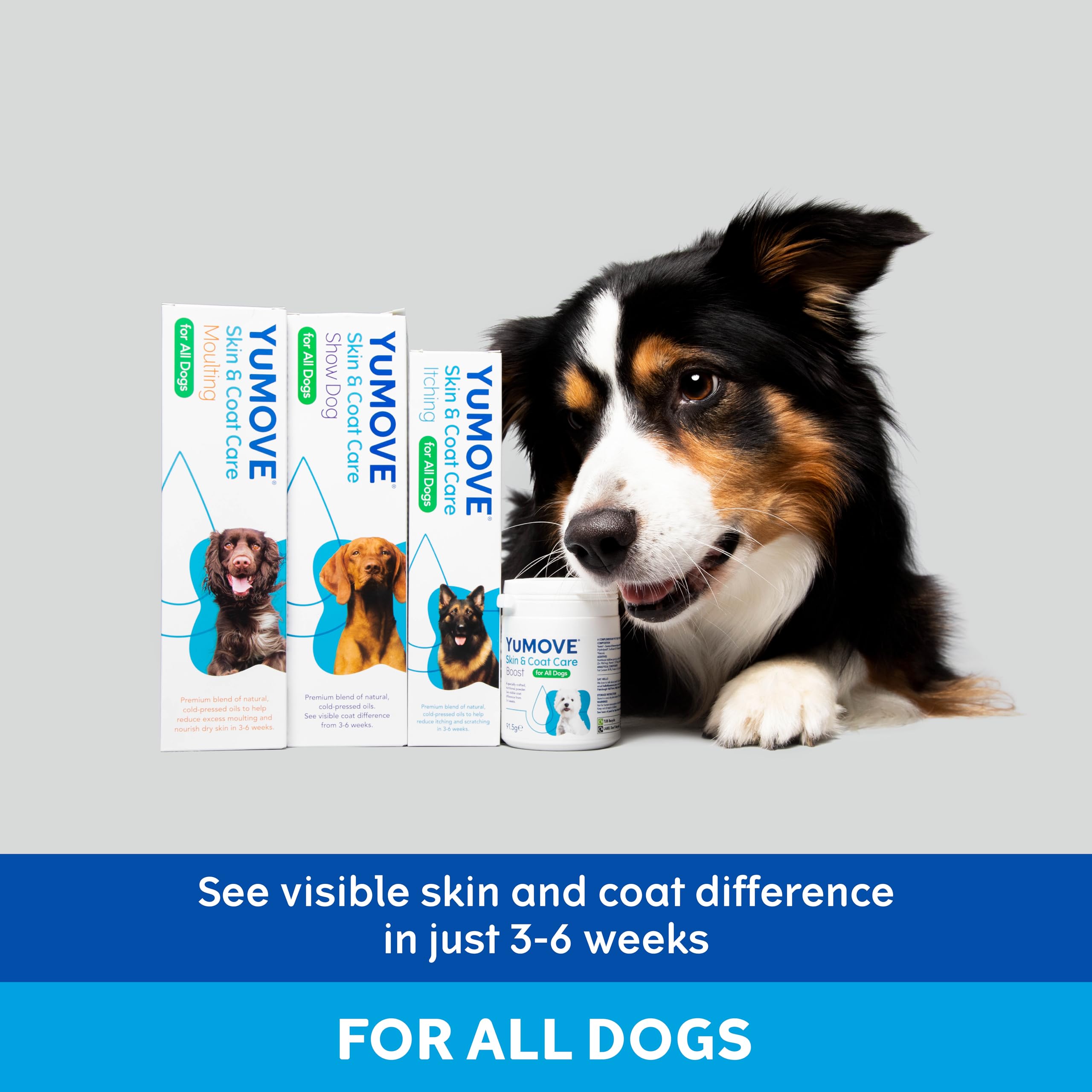YuMOVE Skin & Coat Care Oil for Adult Dogs - Anti-Itch Support for Sensitive Skin | Salmon Flavor 3
