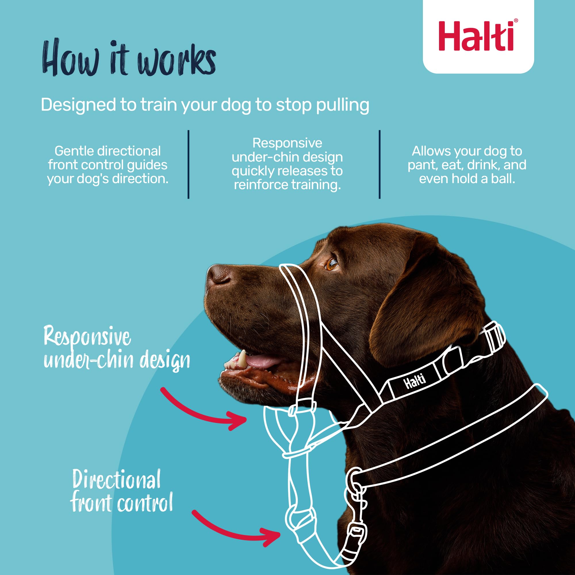 Halti Headcollar for Dogs - Stops Pulling | Size 2, Pink