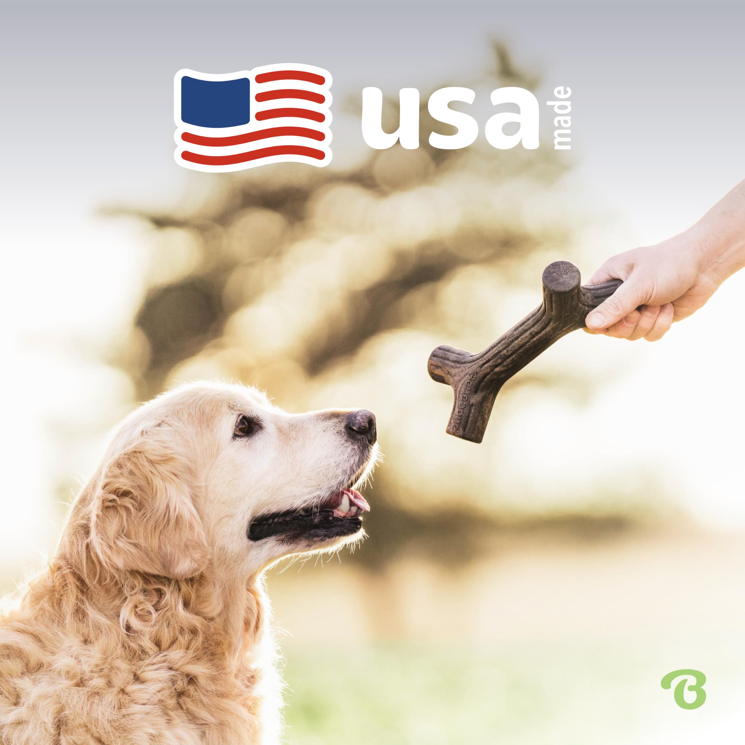 Benebone Maplestick Durable Dog Chew Toy - Medium, Real Maple Wood Flavor 5