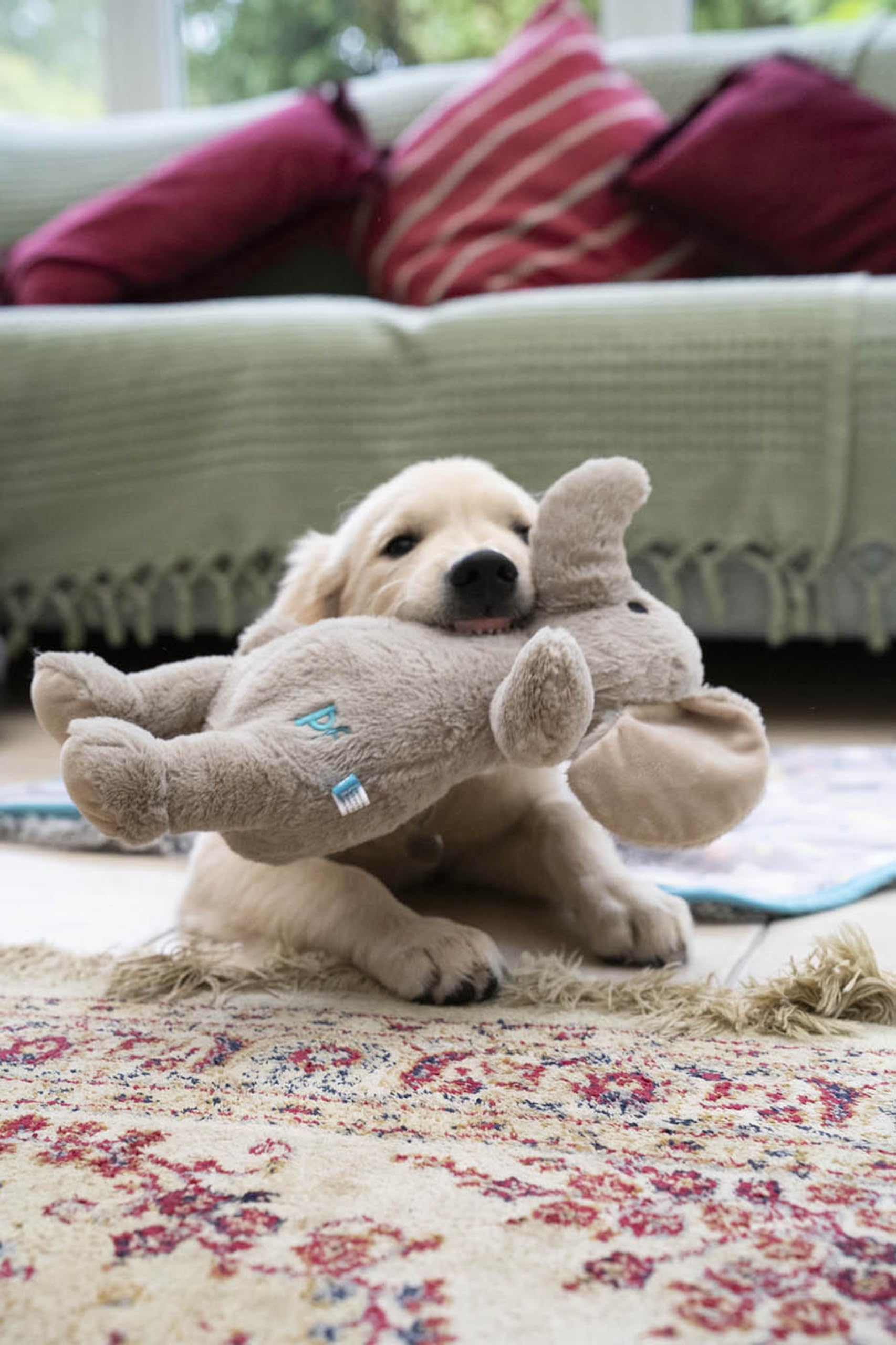 Petface Betty Elephant Plush Dog Toy - Lightweight & Durable | Small Breeds 9