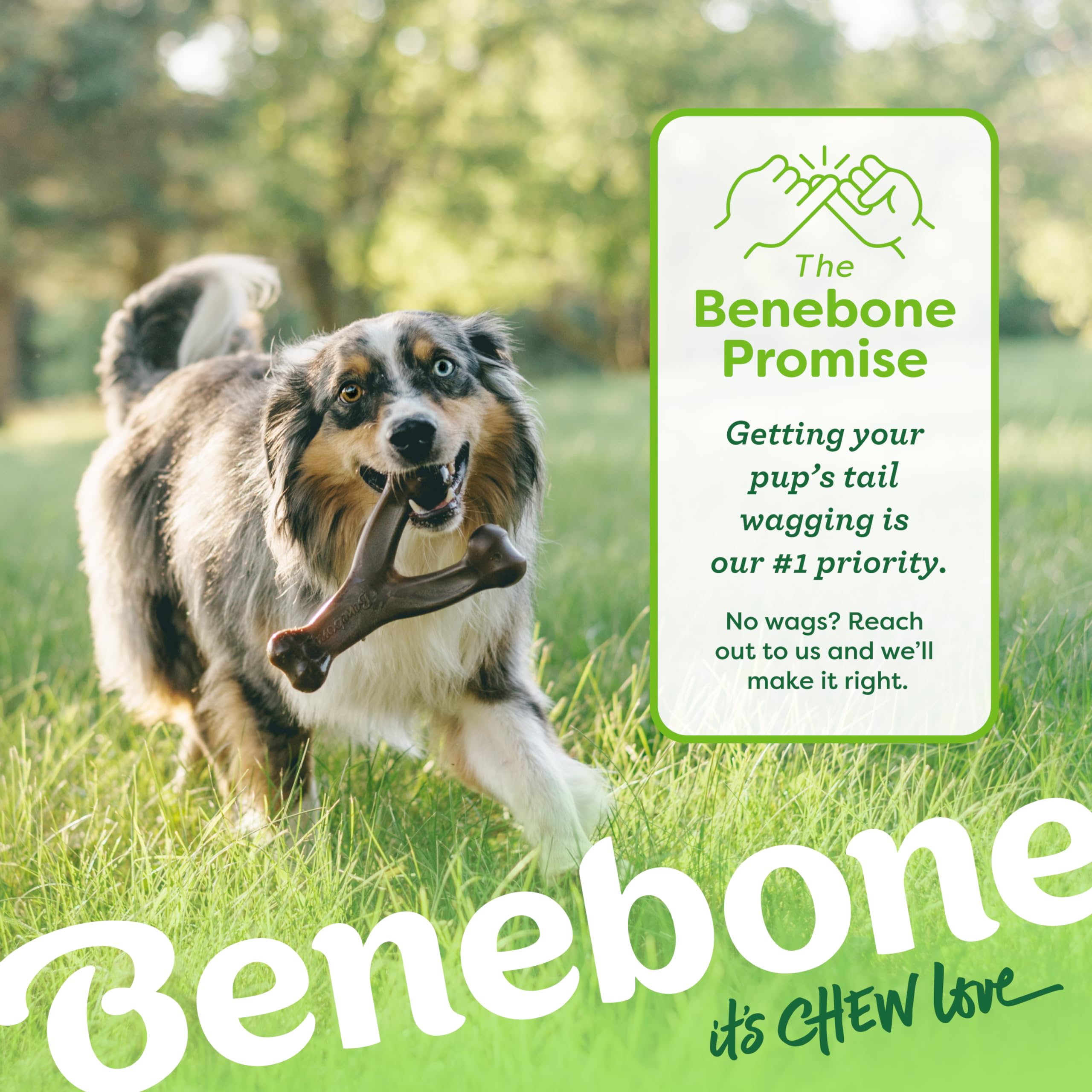 Benebone Indestructible Wishbone Dog Chew Toy - Real Chicken Flavor | Small Dogs | Heavy Duty Nylon 6