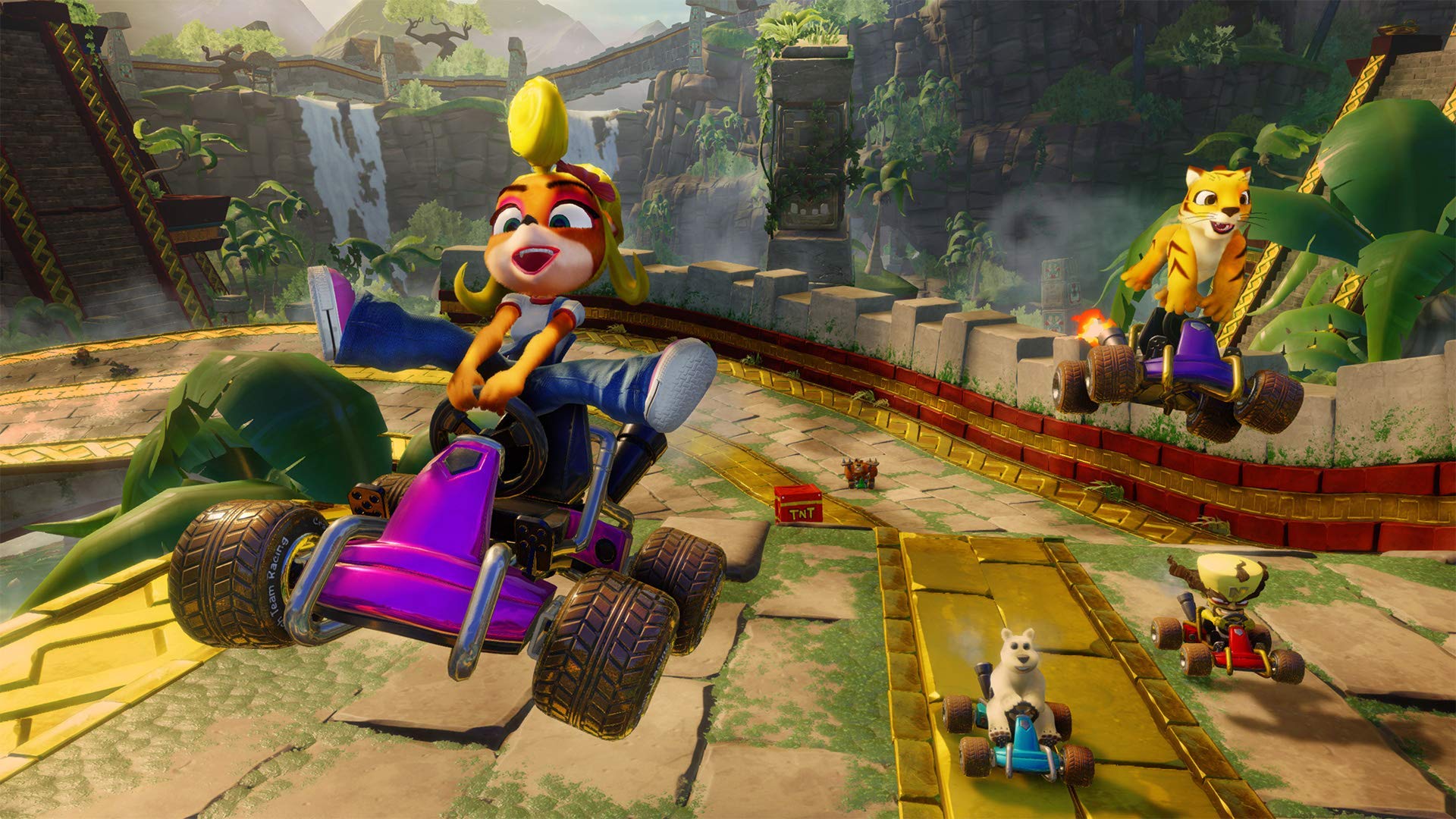 Crash Team Racing Nitro-Fueled - PS4 11