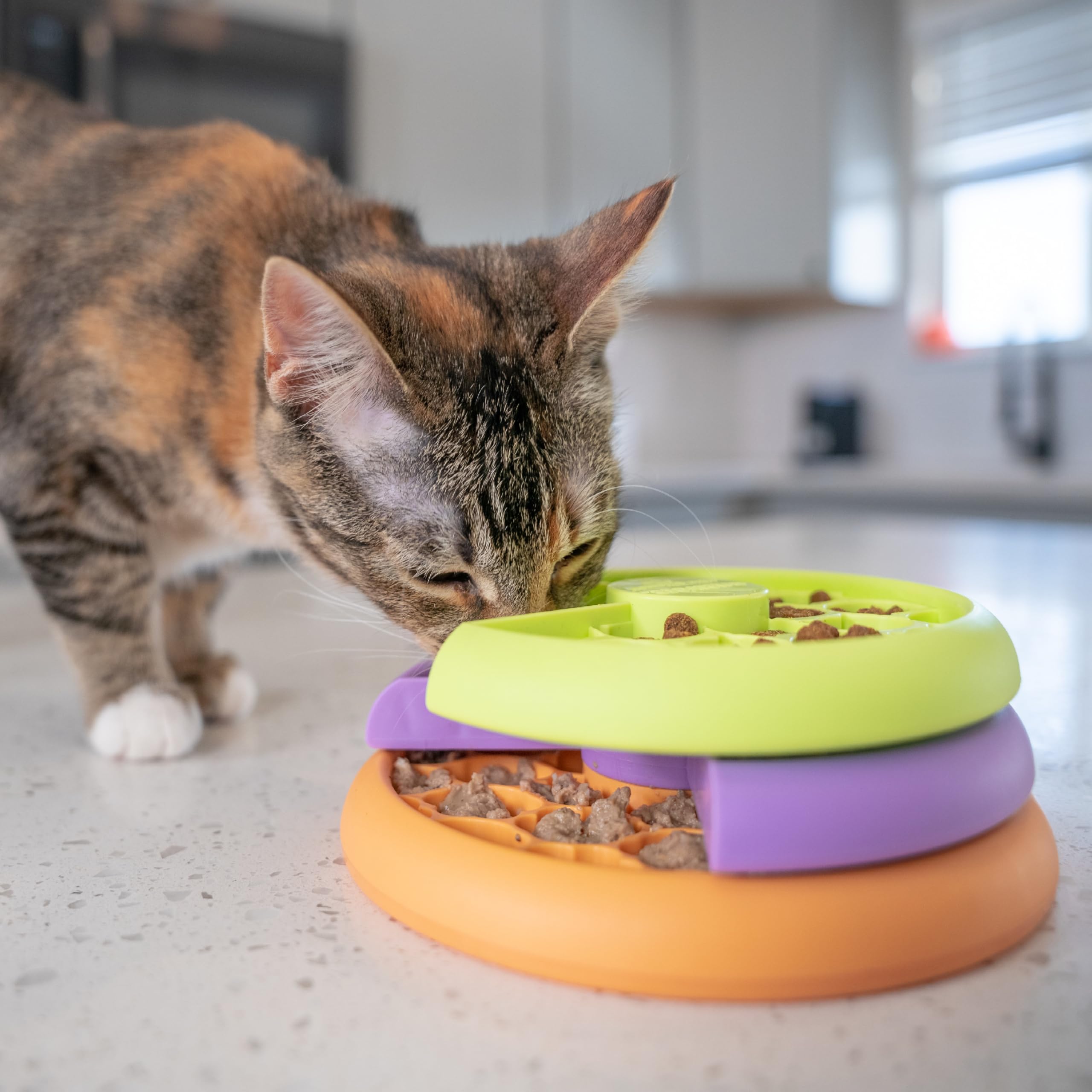 Catstages Nina Ottosson Slow Feeder Cat Bowl - Intermediate Puzzle Feeder | 80 Compartments | Plastic 2