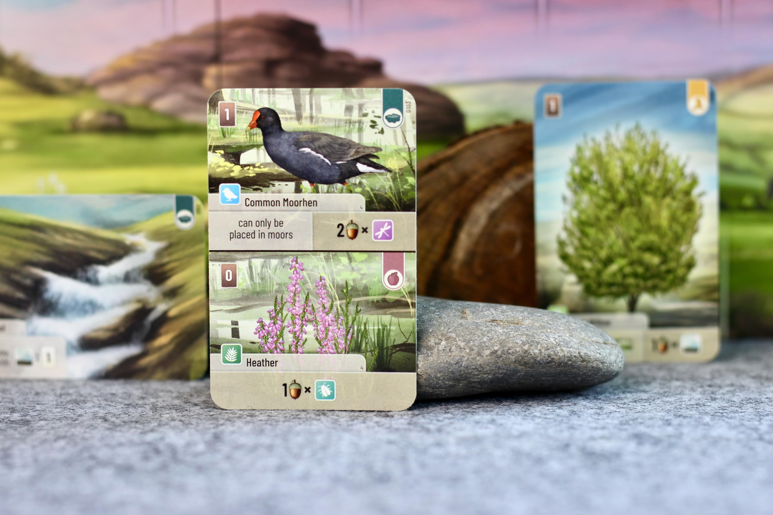 Asmodee Forest Shuffle: Dartmoor Family Card Game | Ages 10+ | 2-4 Players 4