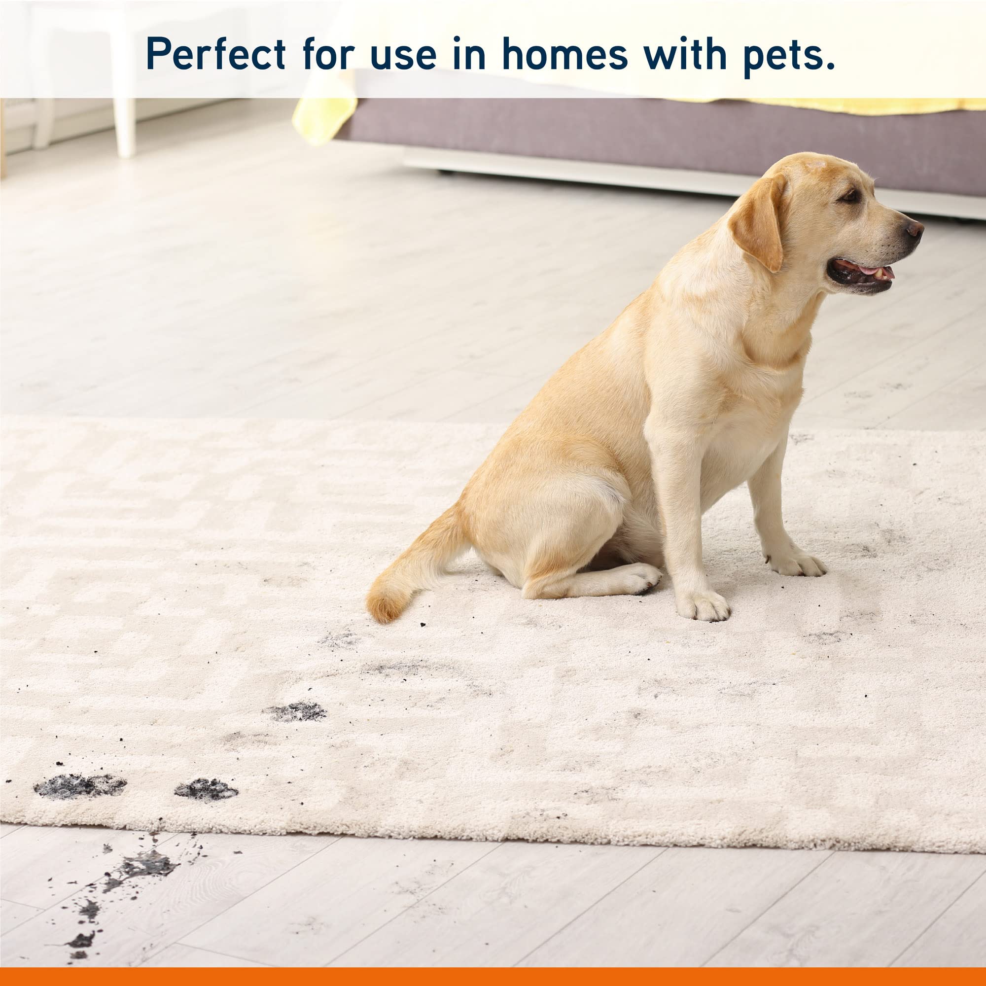 Vax Pet Stain & Odour Remover - Pre-Treatment Carpet Cleaner | 500ml Trigger Spray Twin Pack 3