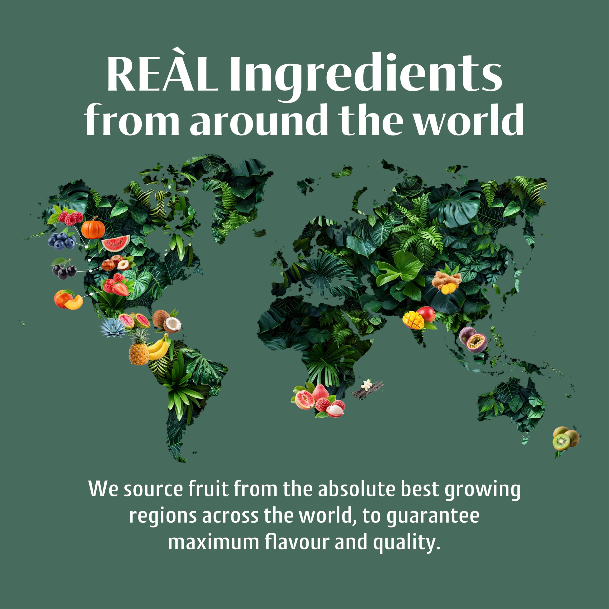 Reàl Infused Exotics Pineapple Syrup - 40% Real Fruit Puree | 500 ml | Gluten Free, Vegan 7