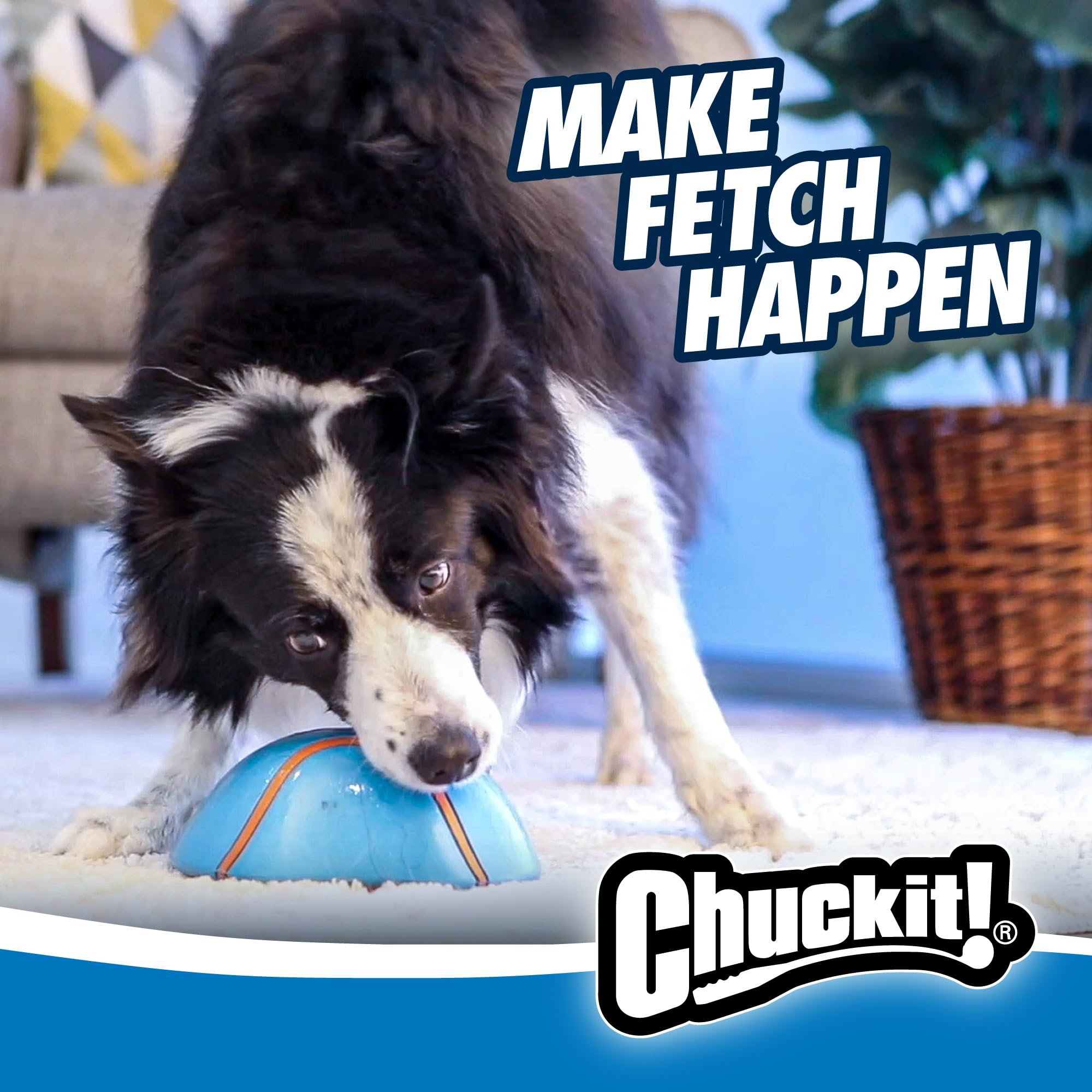 Chuckit! Indoor Super Slider Dog Toy - Glides on Floors | Squeaker Included | Blue Size M 6