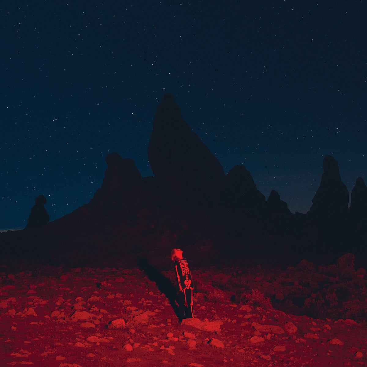 Phoebe Bridgers - Punisher [Vinyl]