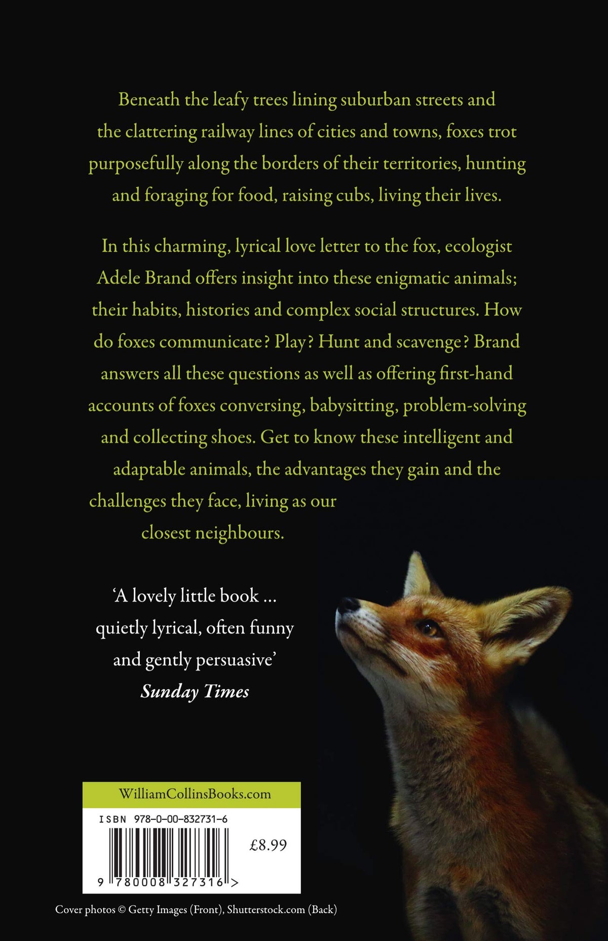 The Hidden World of the Fox by Adele Brand – Paperback