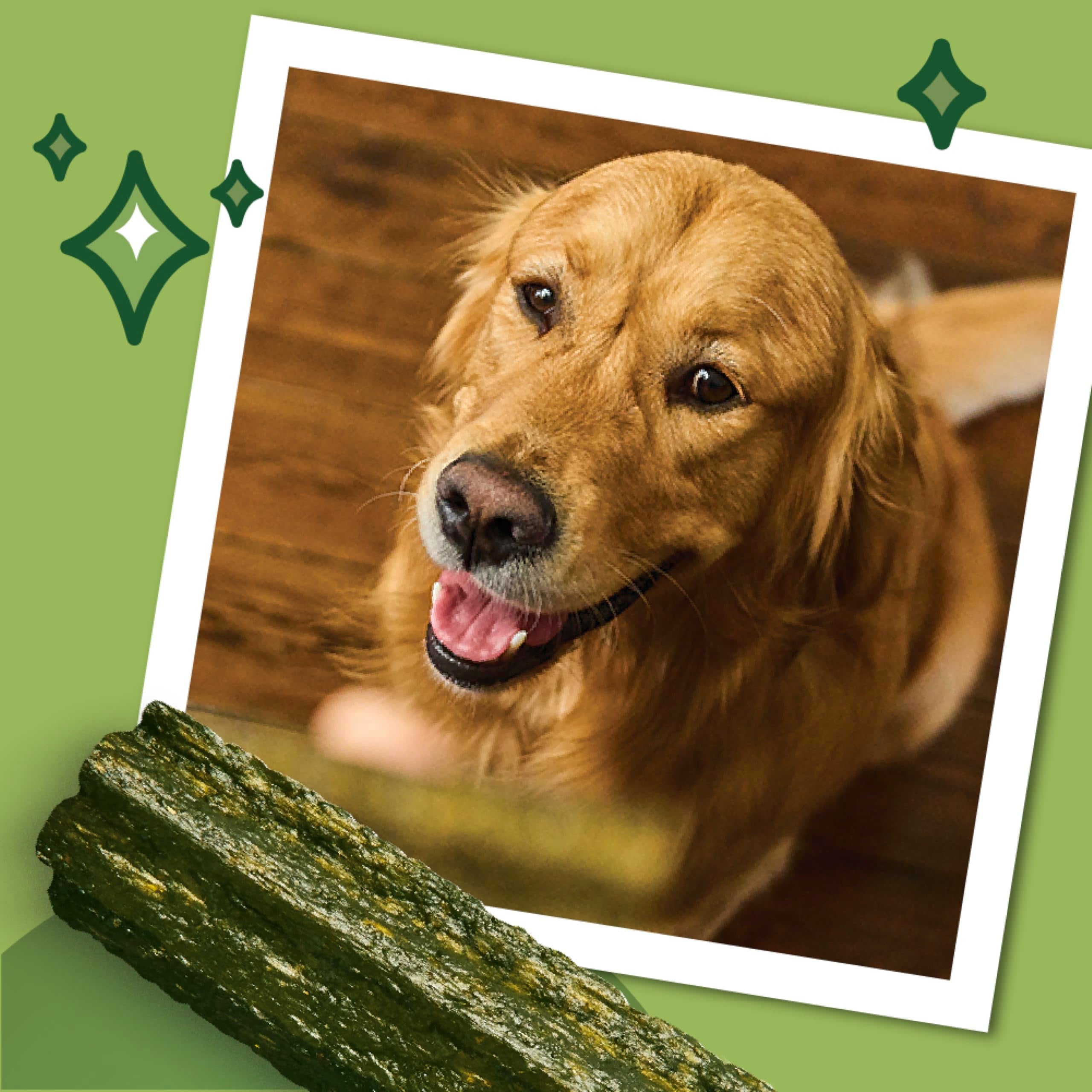 Lily's Kitchen Woofbrush Large Dental Dog Chew - Grain-Free, Natural Ingredients, Vet Approved | 329g Pack 5