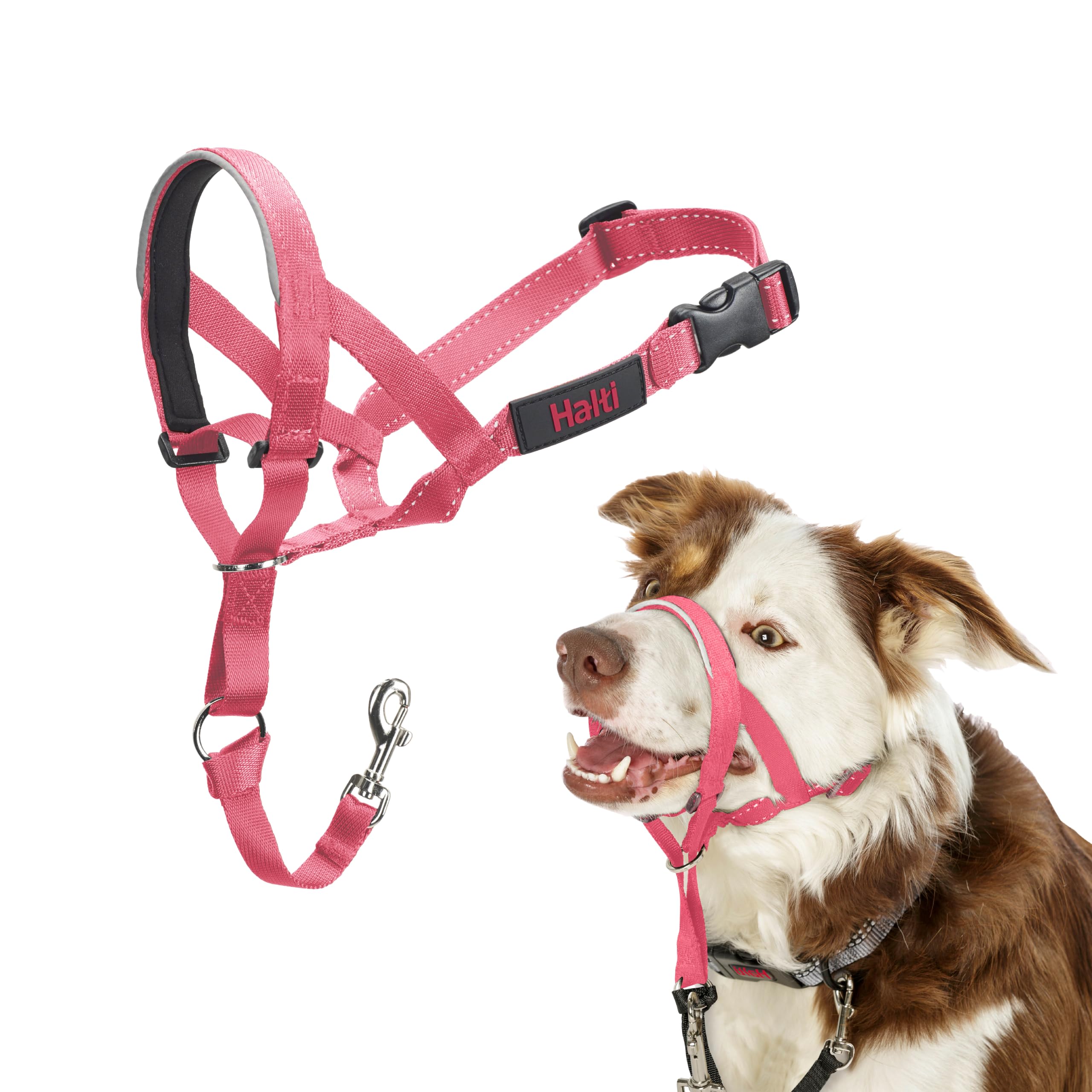Halti Headcollar for Dogs - Stops Pulling | Size 2, Pink