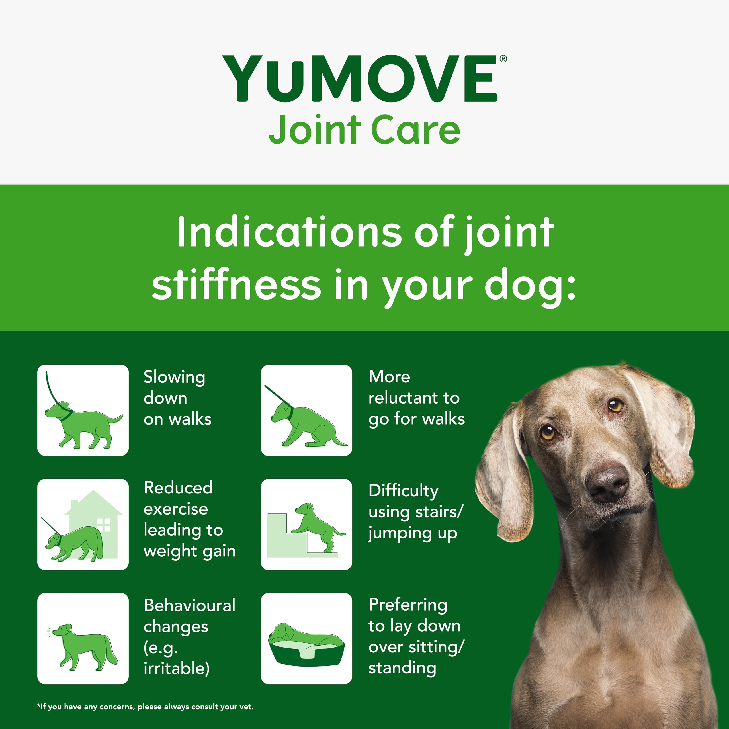 YuMOVE Joint Supplement for Dogs - One-A-Day for Stiff Medium Dogs | 30 Chews 3