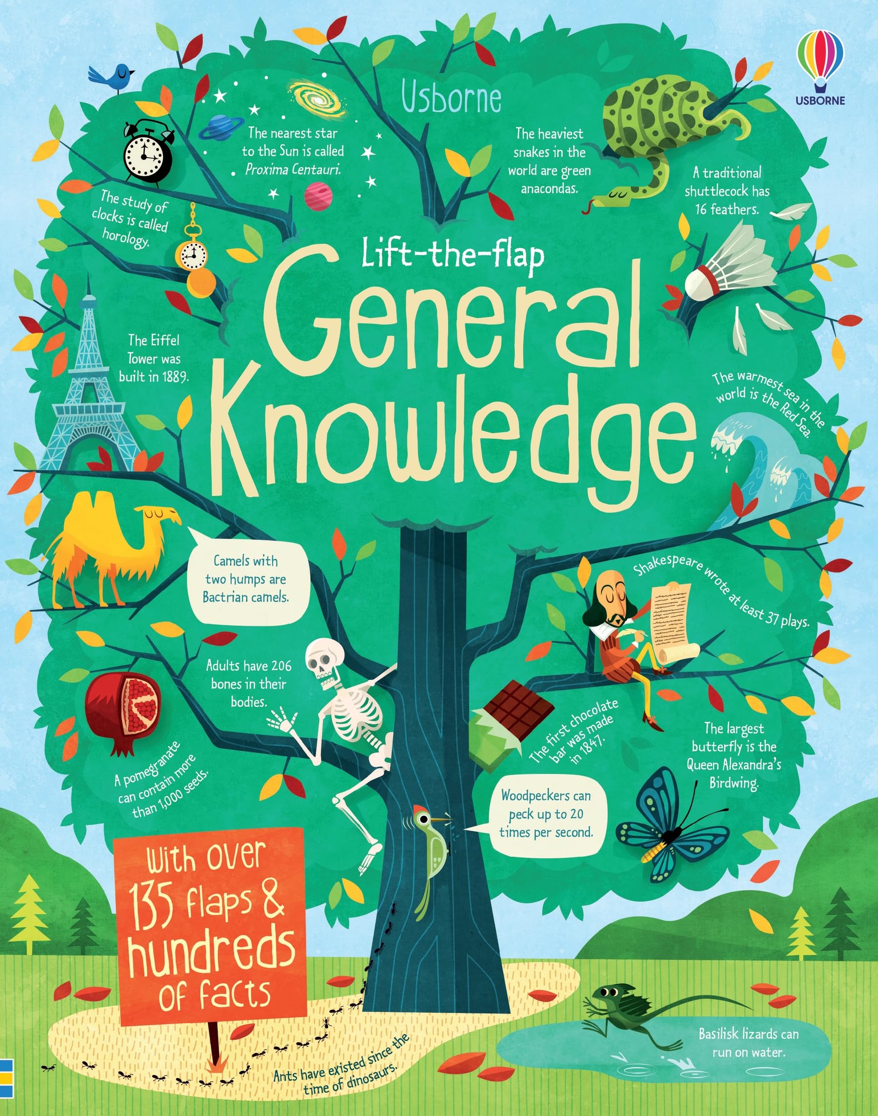 Usborne Lift-the-Flap General Knowledge - Board Book | Ages 4-7