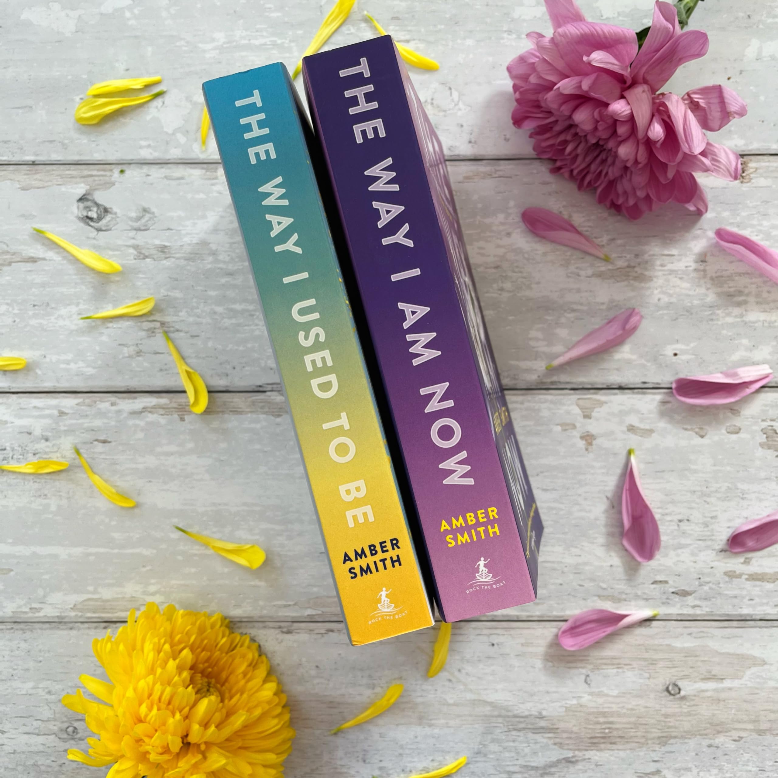 Amber Smith - The Way I Used to Be | Young Adult Literature & Fiction 5