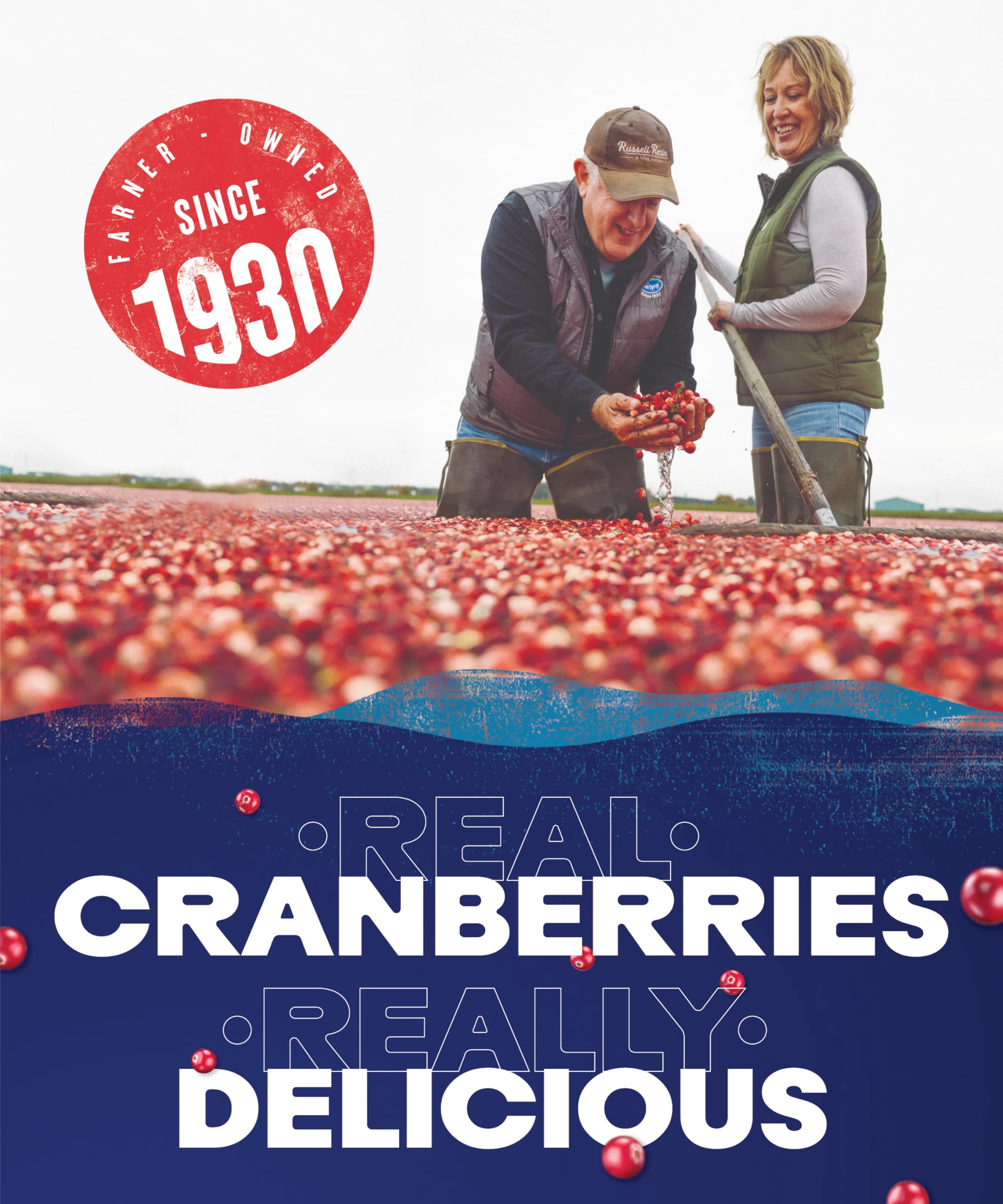 Ocean Spray Classic Cranberry Juice Drink - No Added Sugar | 1L Carton | Rich in Vitamin C 5