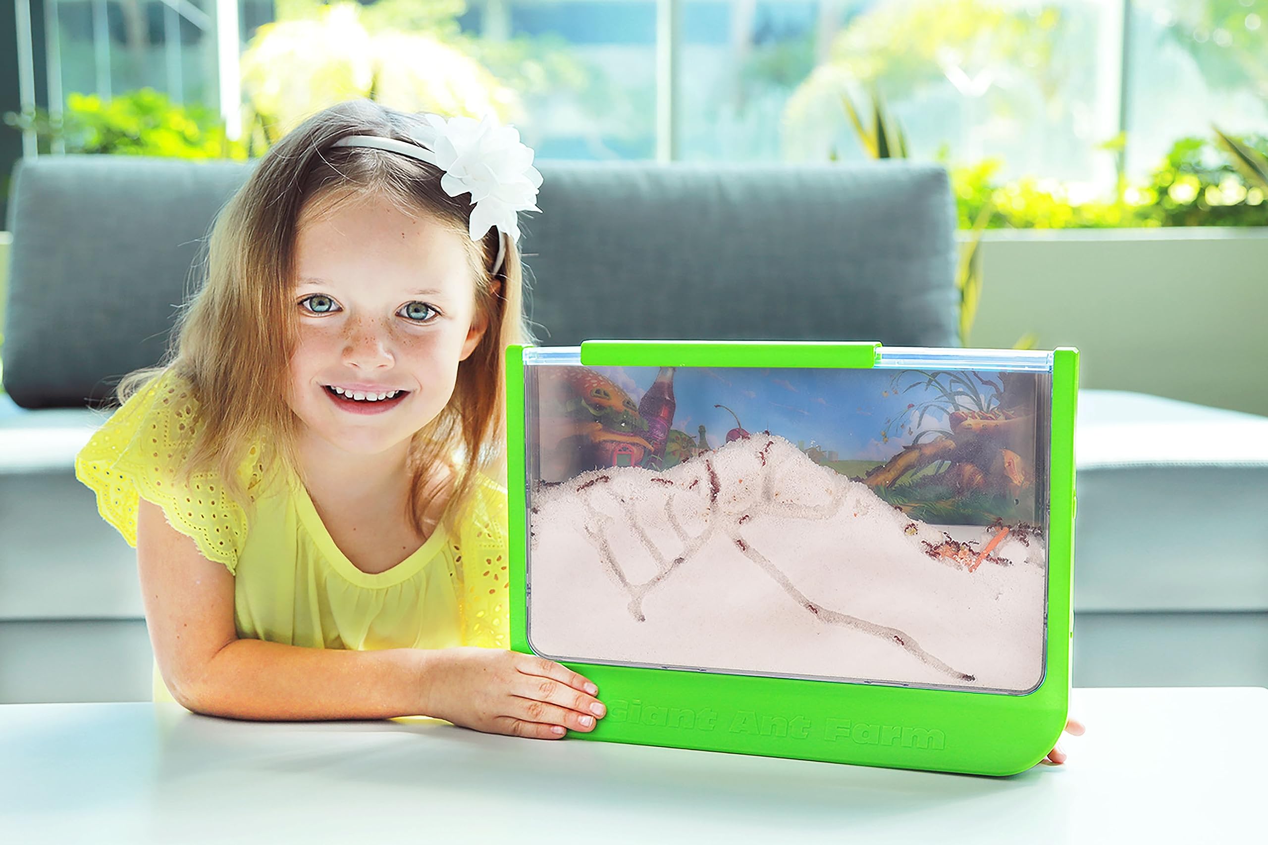 Uncle Milton Giant Ant Farm - Extra Large Viewing Area with Ant Picnic Scene 5