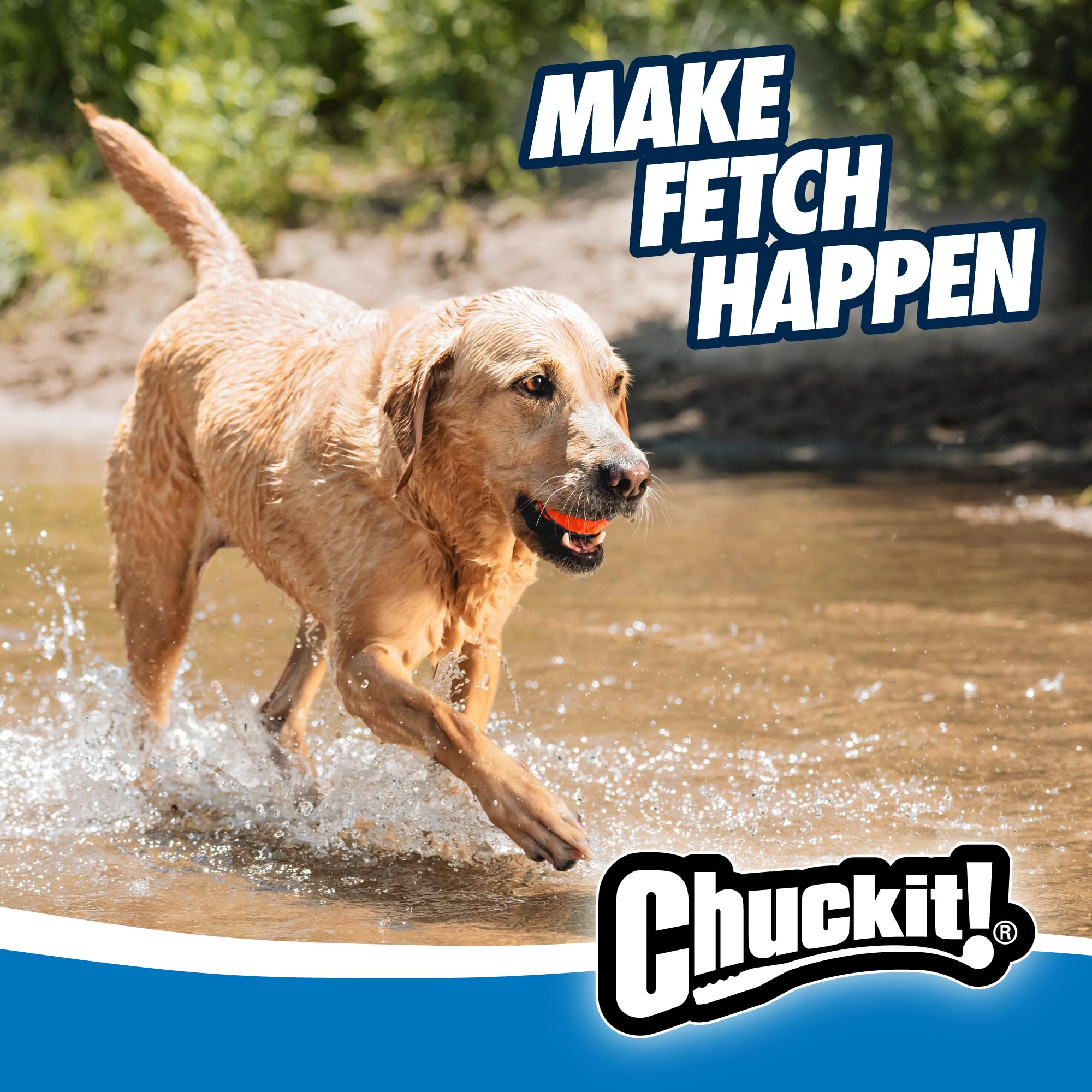 Chuckit! Ultra Ball - High Bounce Fetch Toy for Dogs | 9 cm | 1 Piece 7
