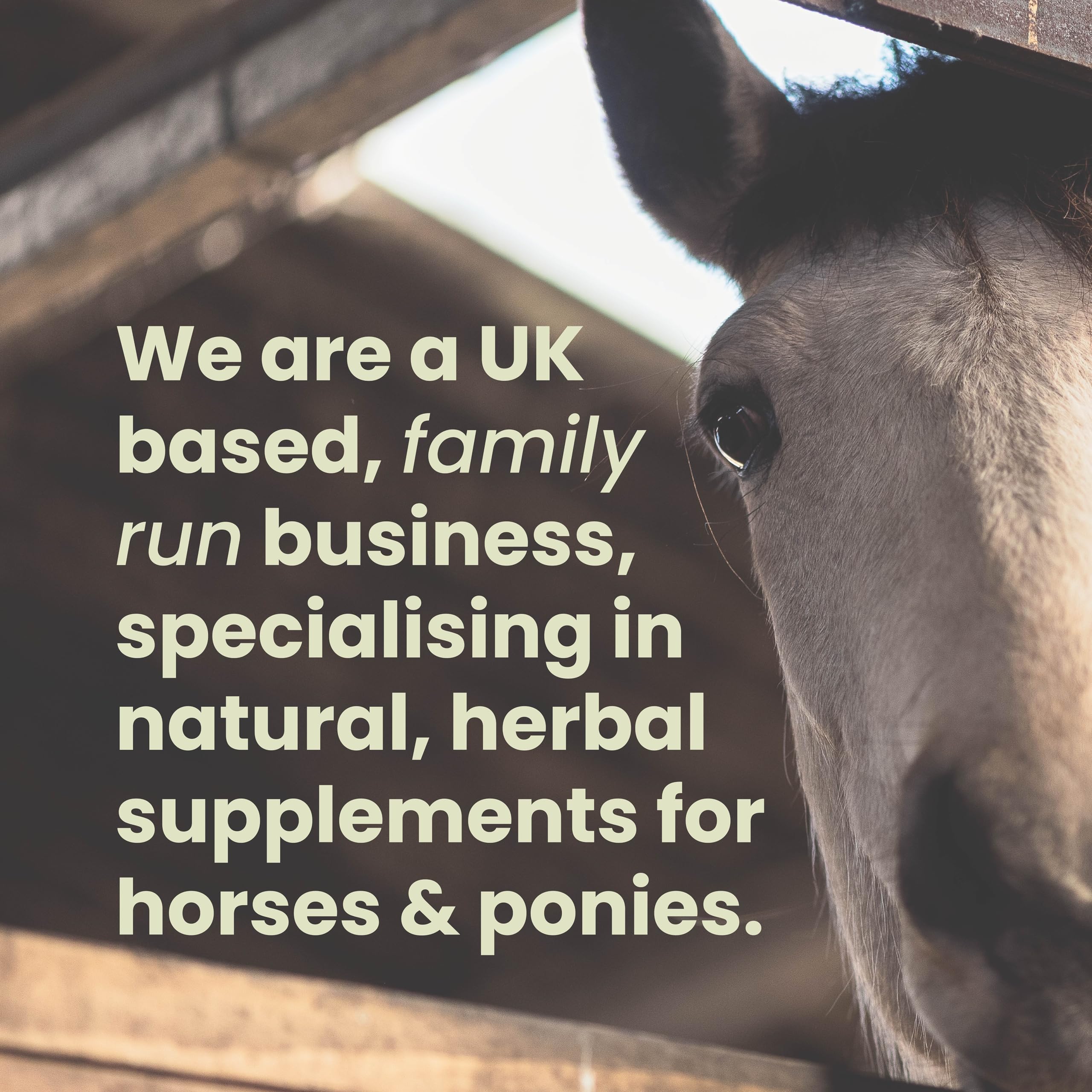 Horse Herbs Magnesium Oxide Powder - 1kg | Calming & Digestive Supplement for Horses 6