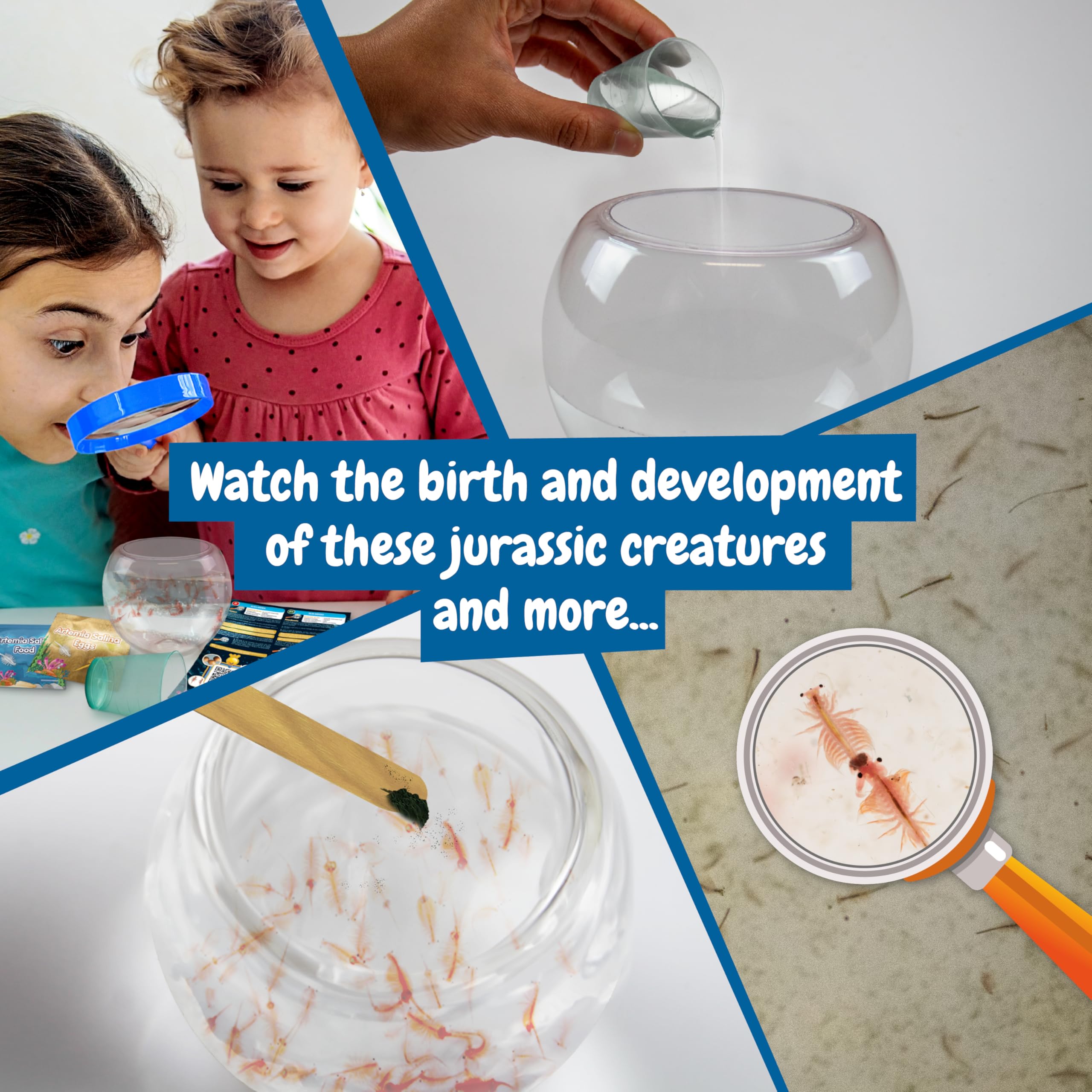 Science4you Jurassic Sea Creatures Kit - Ecosystem Builder for Kids 6+ | STEAM Learning 6