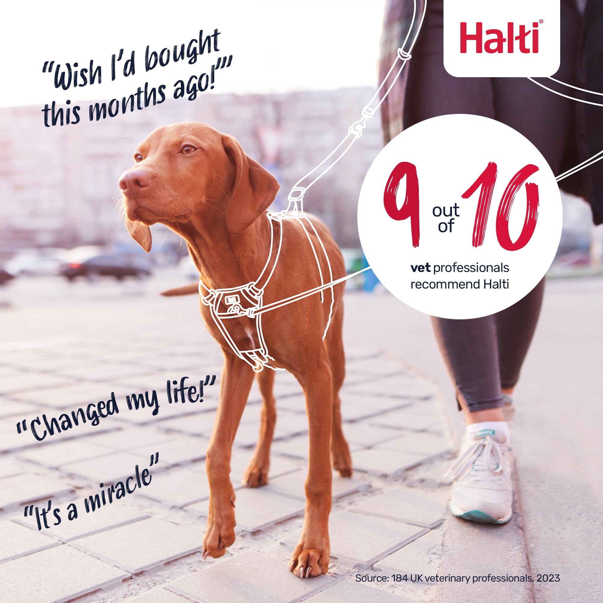 Halti No Pull Dog Harness - Stops Pulling, Comfortable Fit | Size M, Purple 6