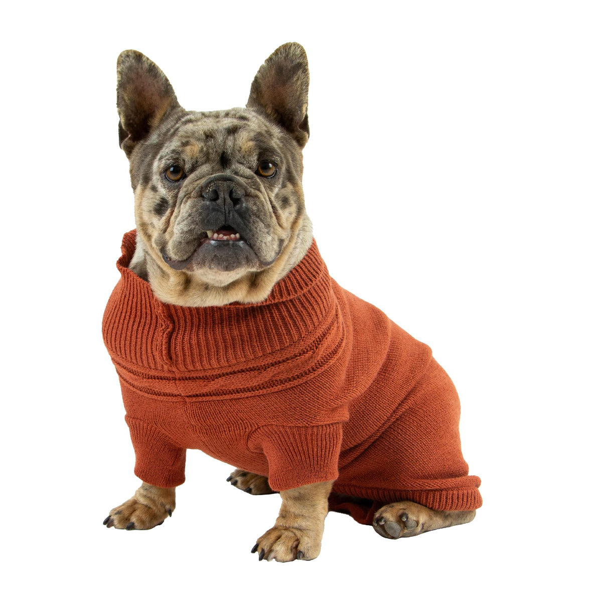 Ancol Classic Cable Knit Dog Jumper - Wool, Terracotta, Size S