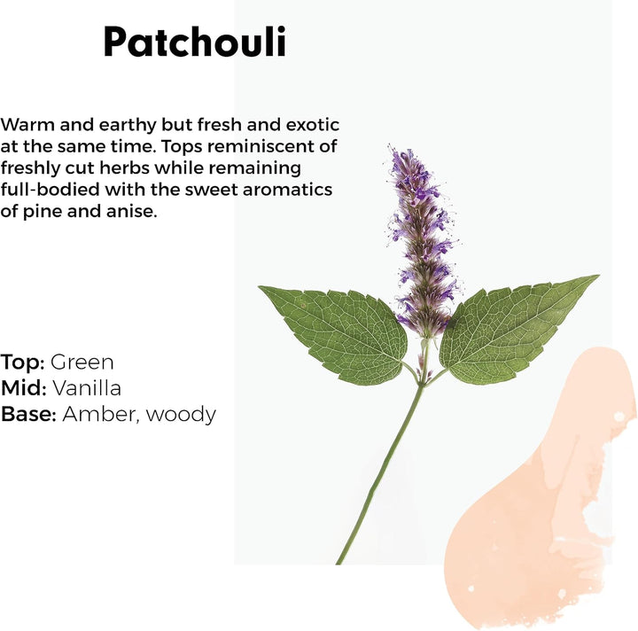 Wilton London Eco-Friendly Patchouli Laundry Liquid (1.09 kg, 28 Washes)