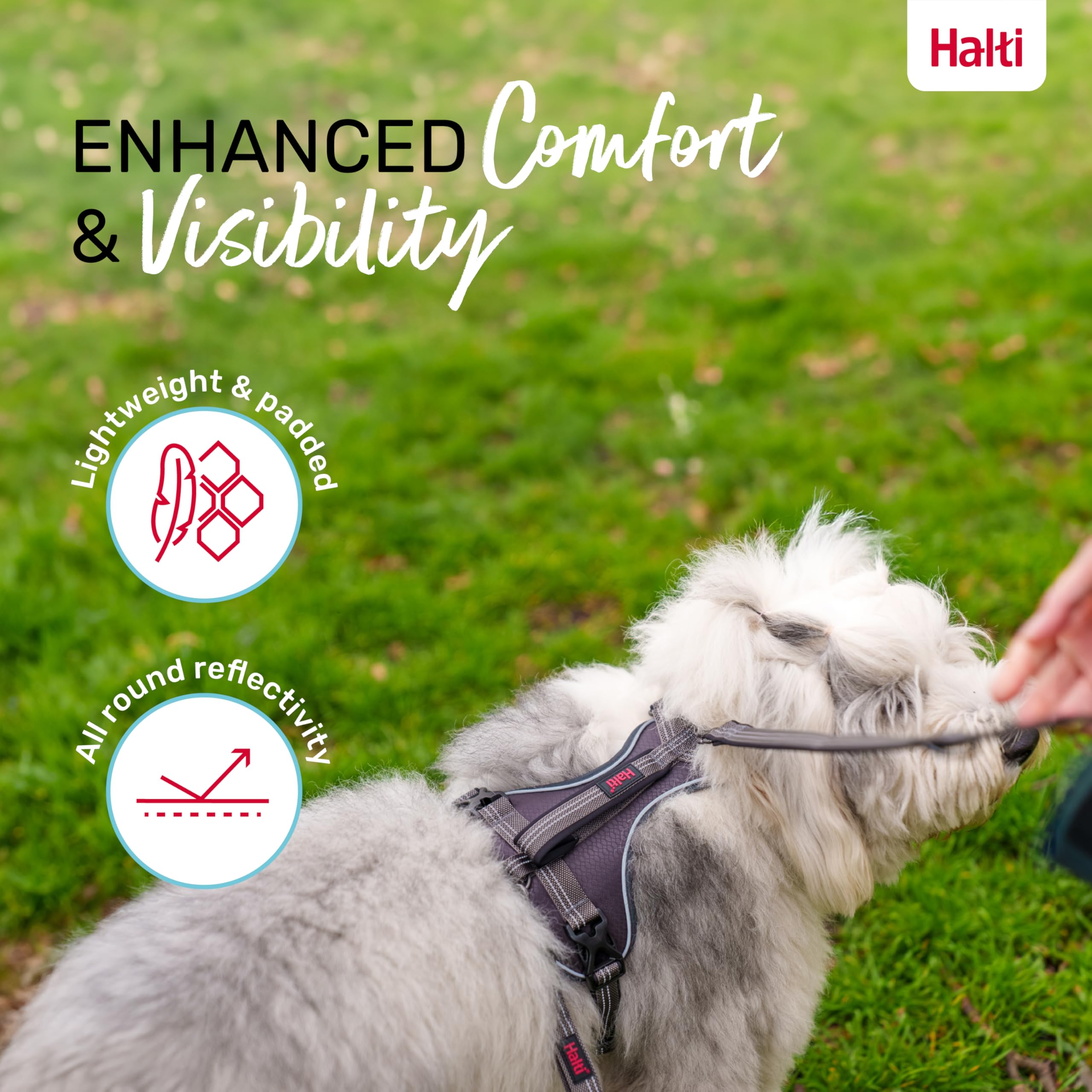 Halti Anatomy Dog Harness with Handle - Padded, Adjustable & Reflective | Size L, Grey 6
