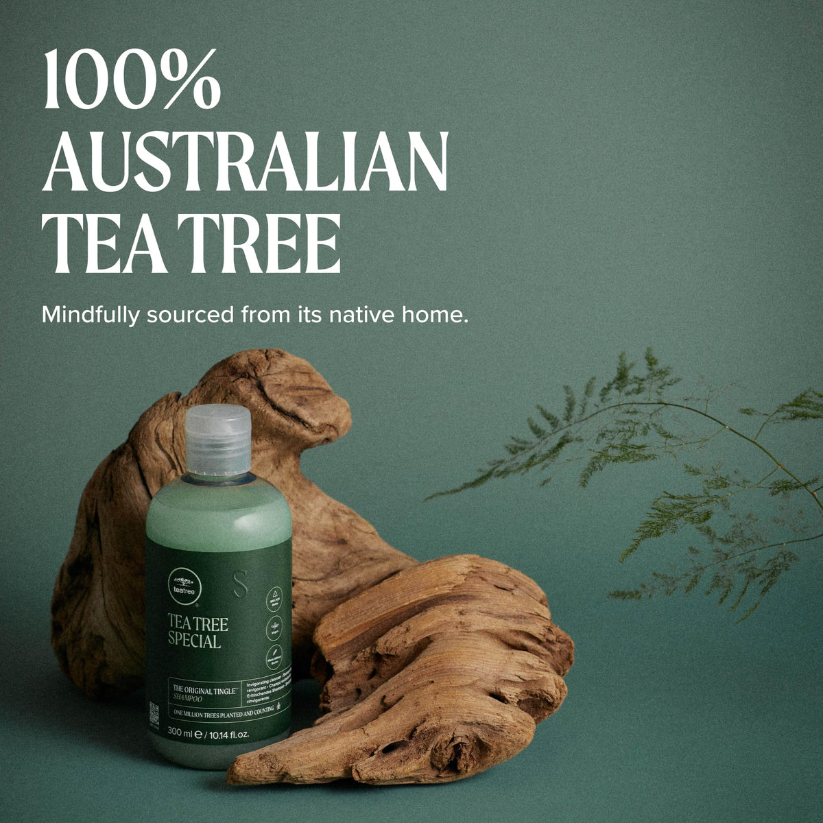 Paul Mitchell Tea Tree Special Shampoo - Deep Cleansing & Scalp Refresh | 300 ml | Unisex Adult 7