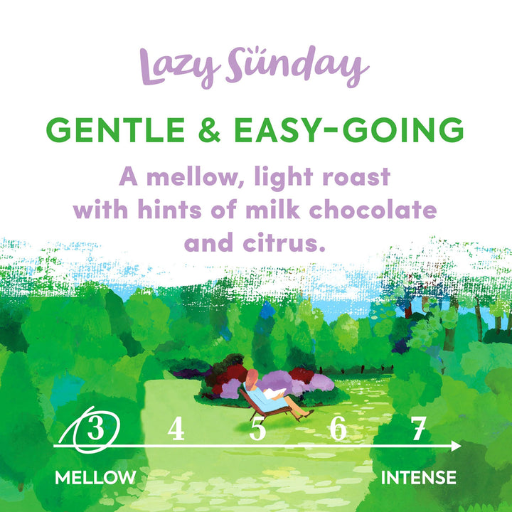 Taylors of Harrogate Lazy Sunday Coffee Beans - 100% Arabica Whole Bean Blend, 200g (Pack of 6)