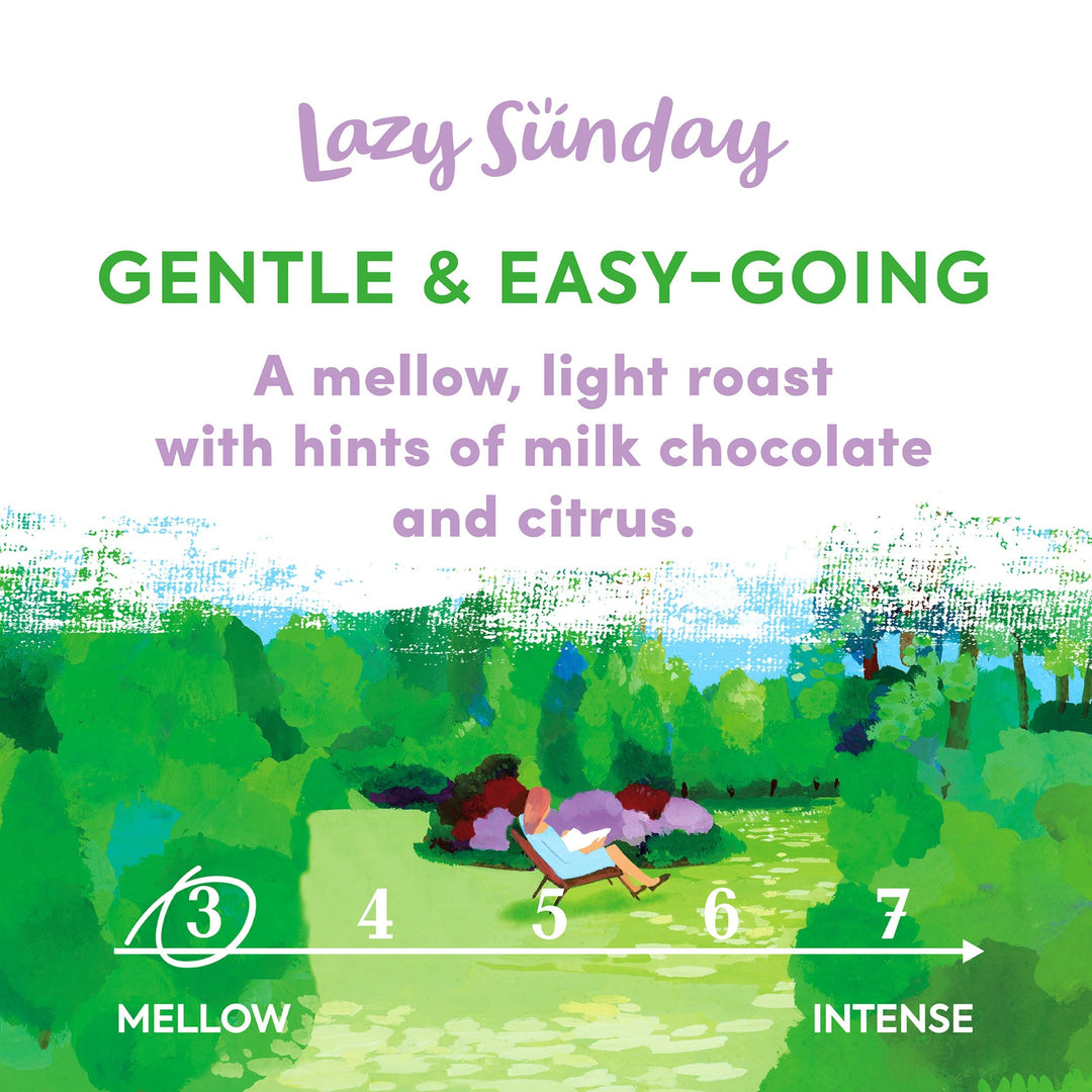 Taylors of Harrogate Lazy Sunday Ground Coffee, 400g (Pack of 3)