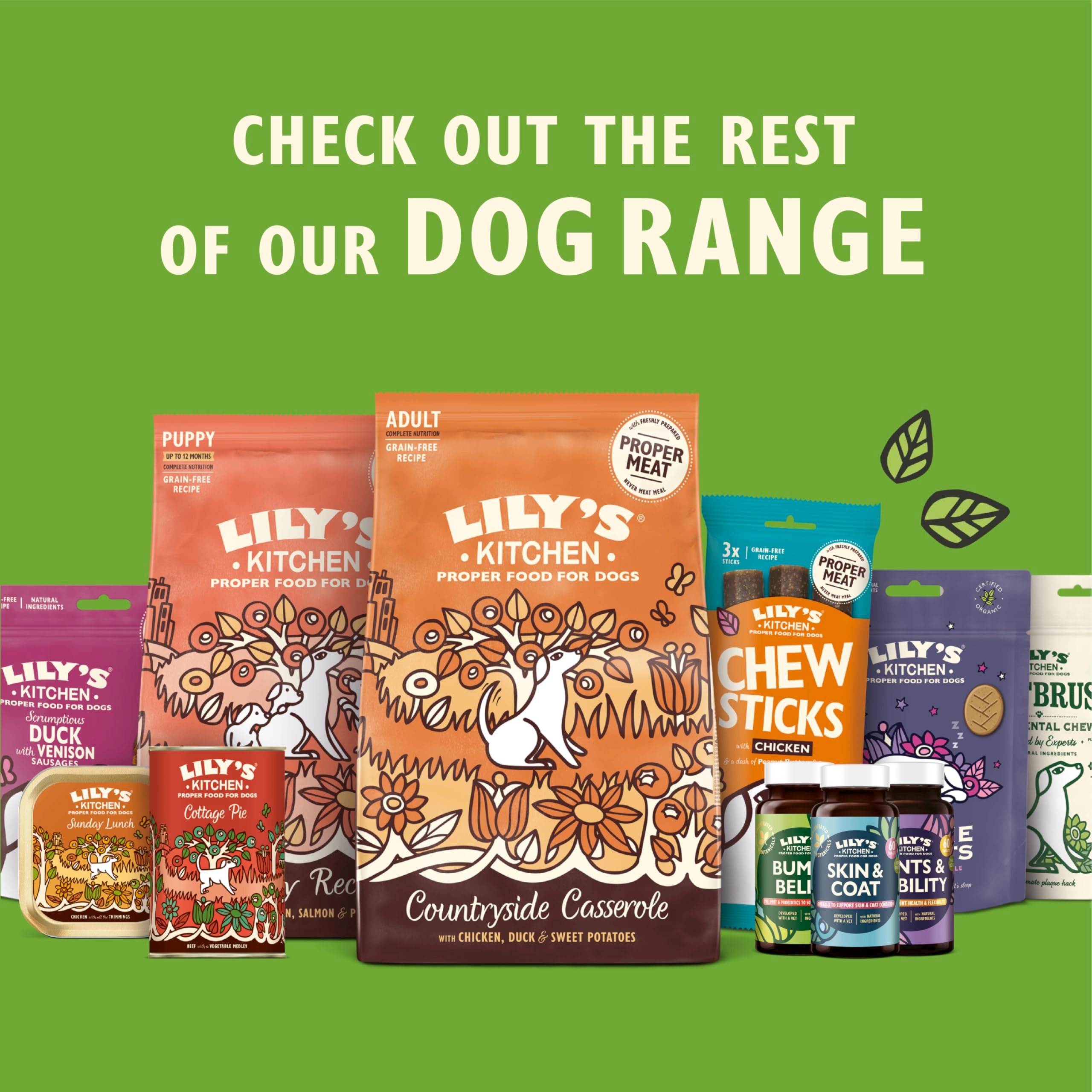 Lily's Kitchen Skin & Coat Support Supplements for Adult & Senior Dogs | 60 Tablets 6