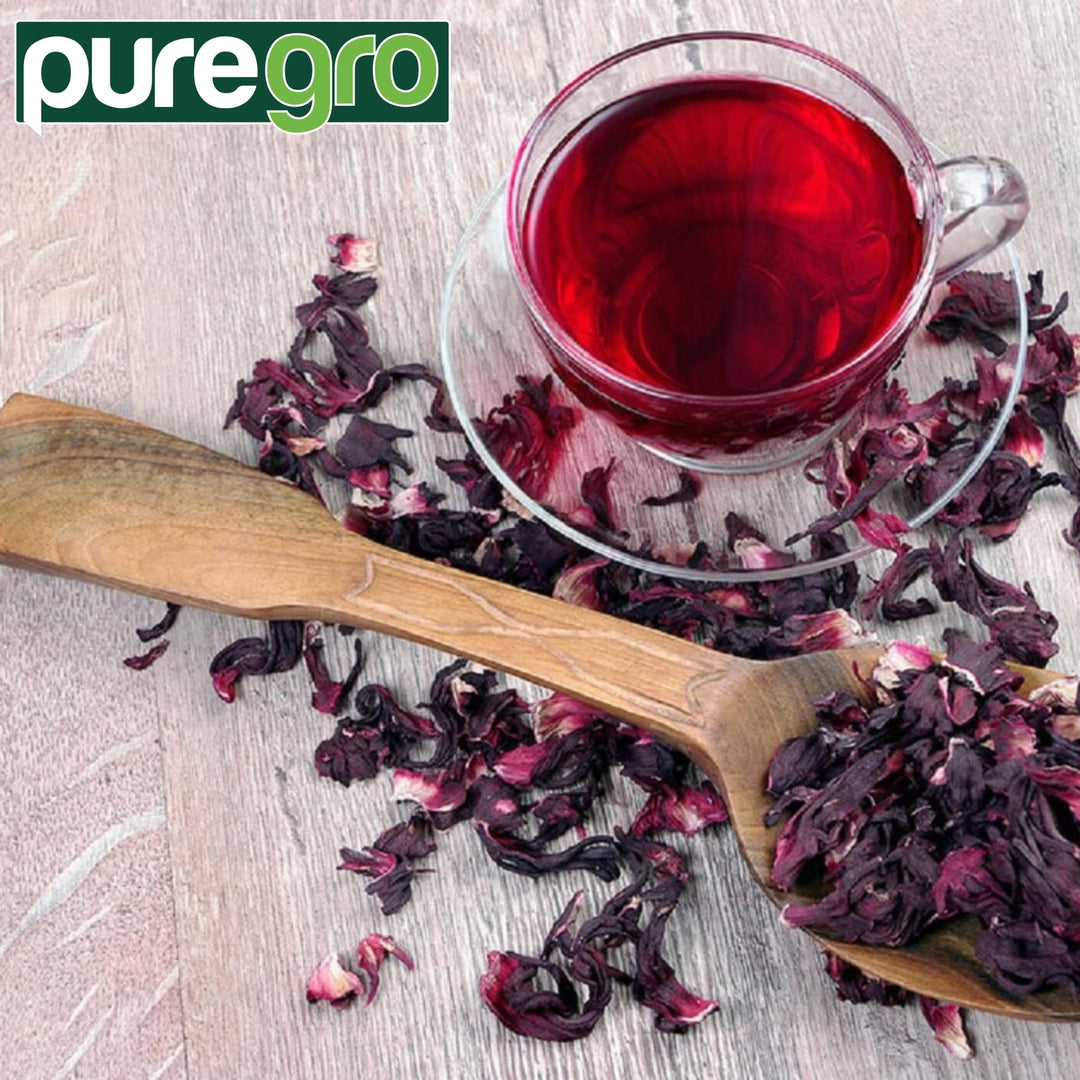 Puregro Hibiscus Flowers Whole Dried | 1kg | Organic Herbal Tea for Infusions