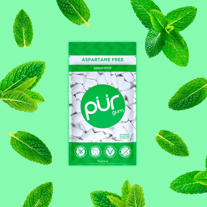 PUR - Spearmint Sugar-Free Chewing Gum (55 Pieces)