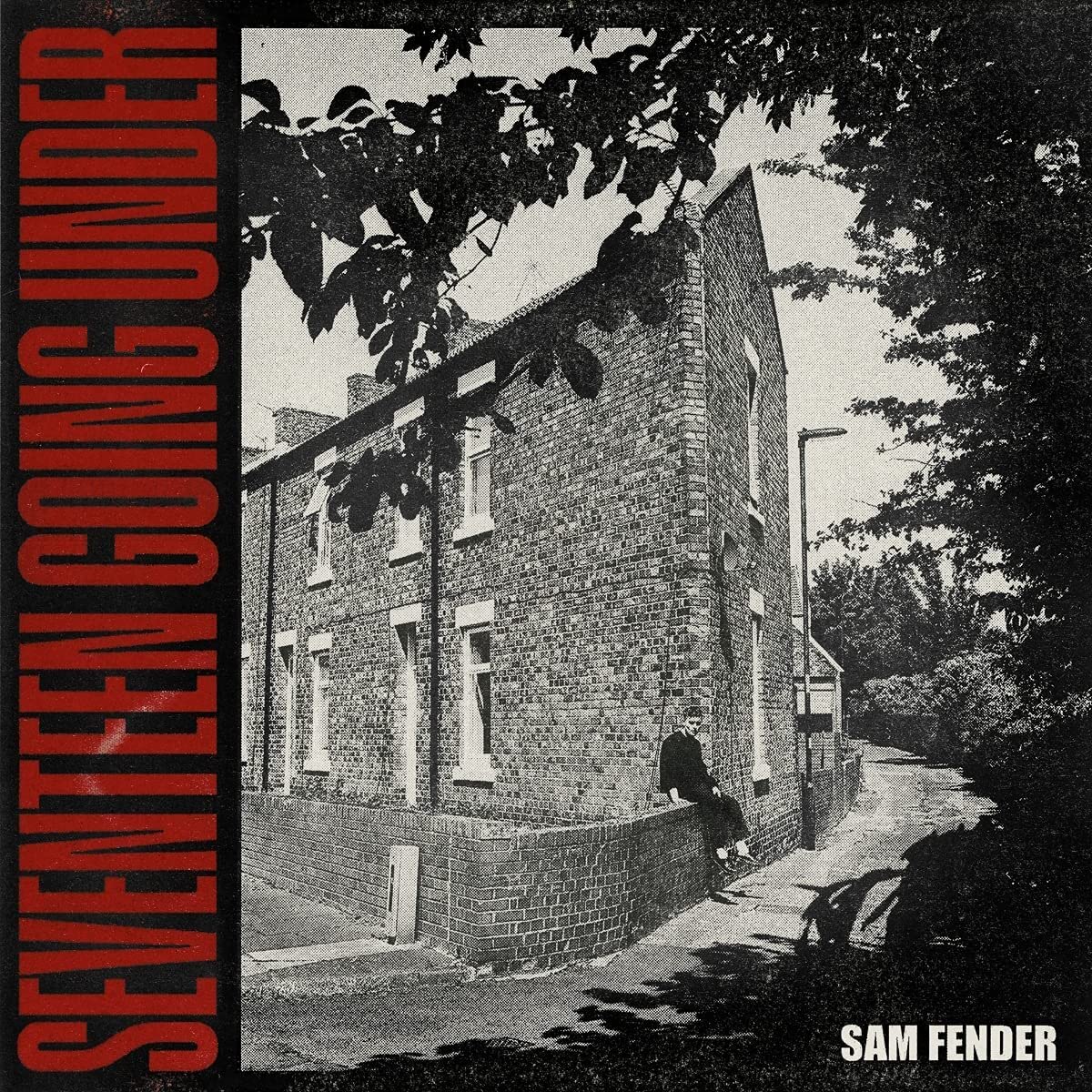 Sam Fender - Seventeen Going Under [Vinyl]