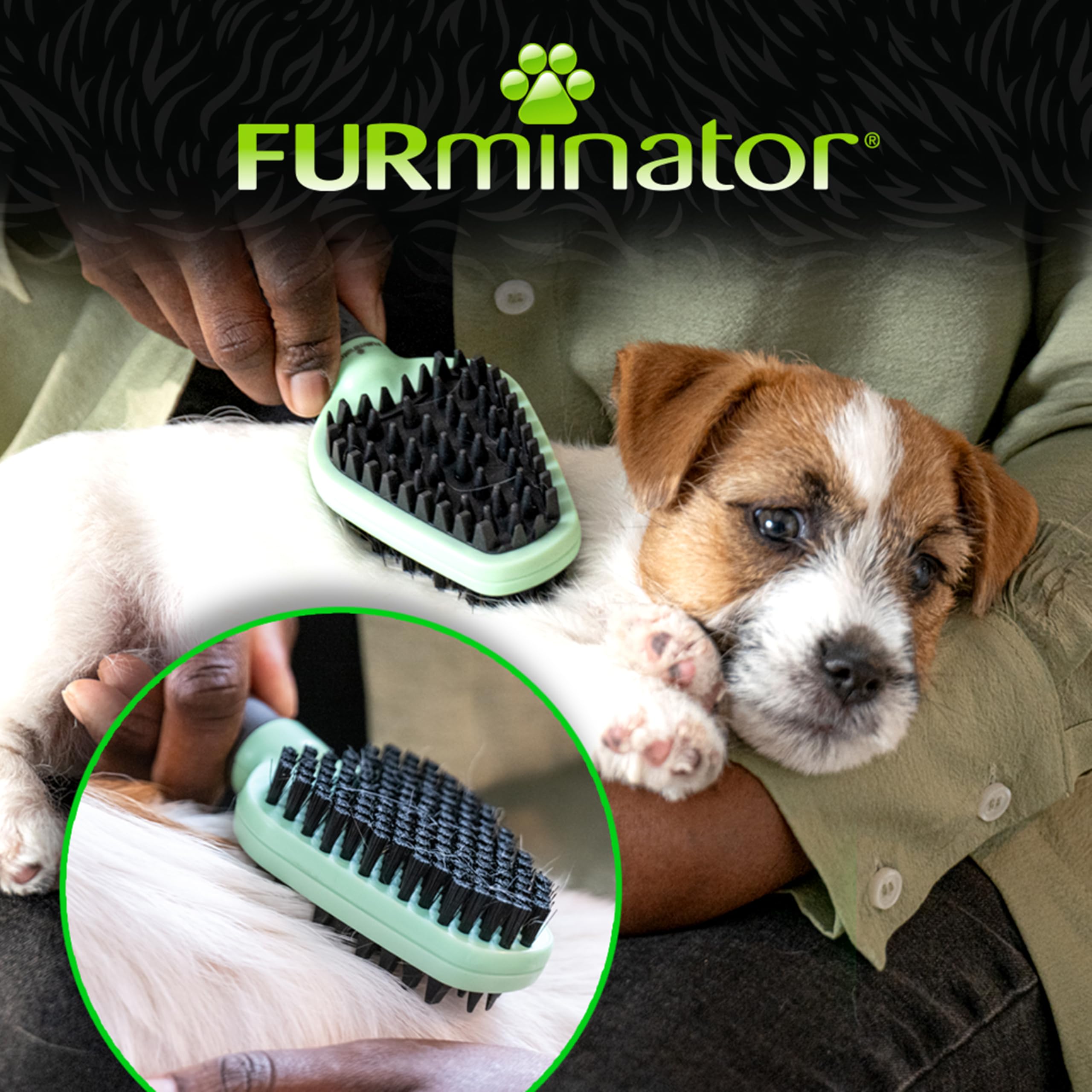FURminator Soft Brush - Dual-Sided Gentle Grooming for Short Hair Dogs & Cats | Green 5