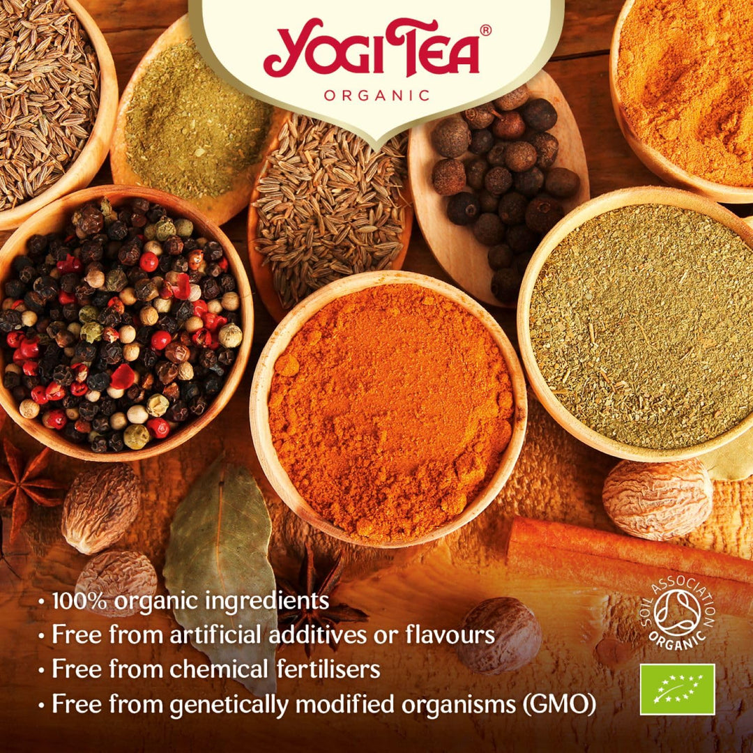YOGI TEA - Choco Organic Spice and Herbal Tea, Chocolate Taste, Blend of Cocoa, Liquorice and Cinnamon, 102 Tea Bags (6 x 17)