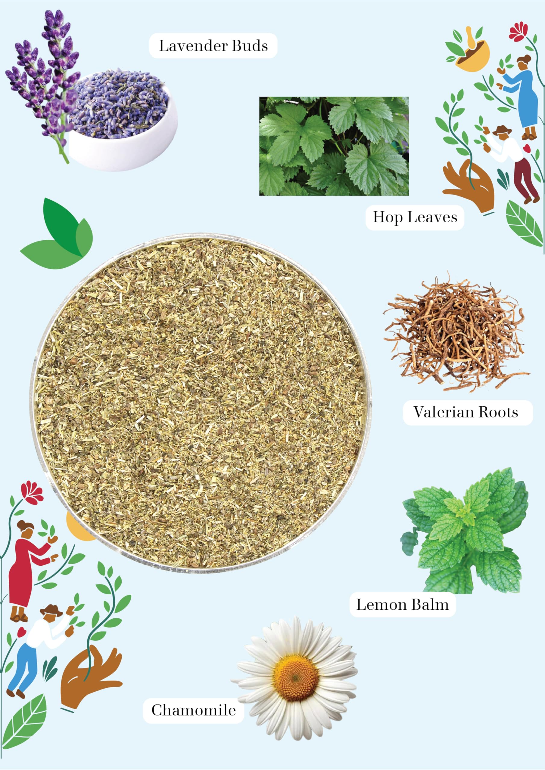 English Tea Shop Organic Sleepy Me - 20 Paper Tea Bag Sachets, 30 g 3