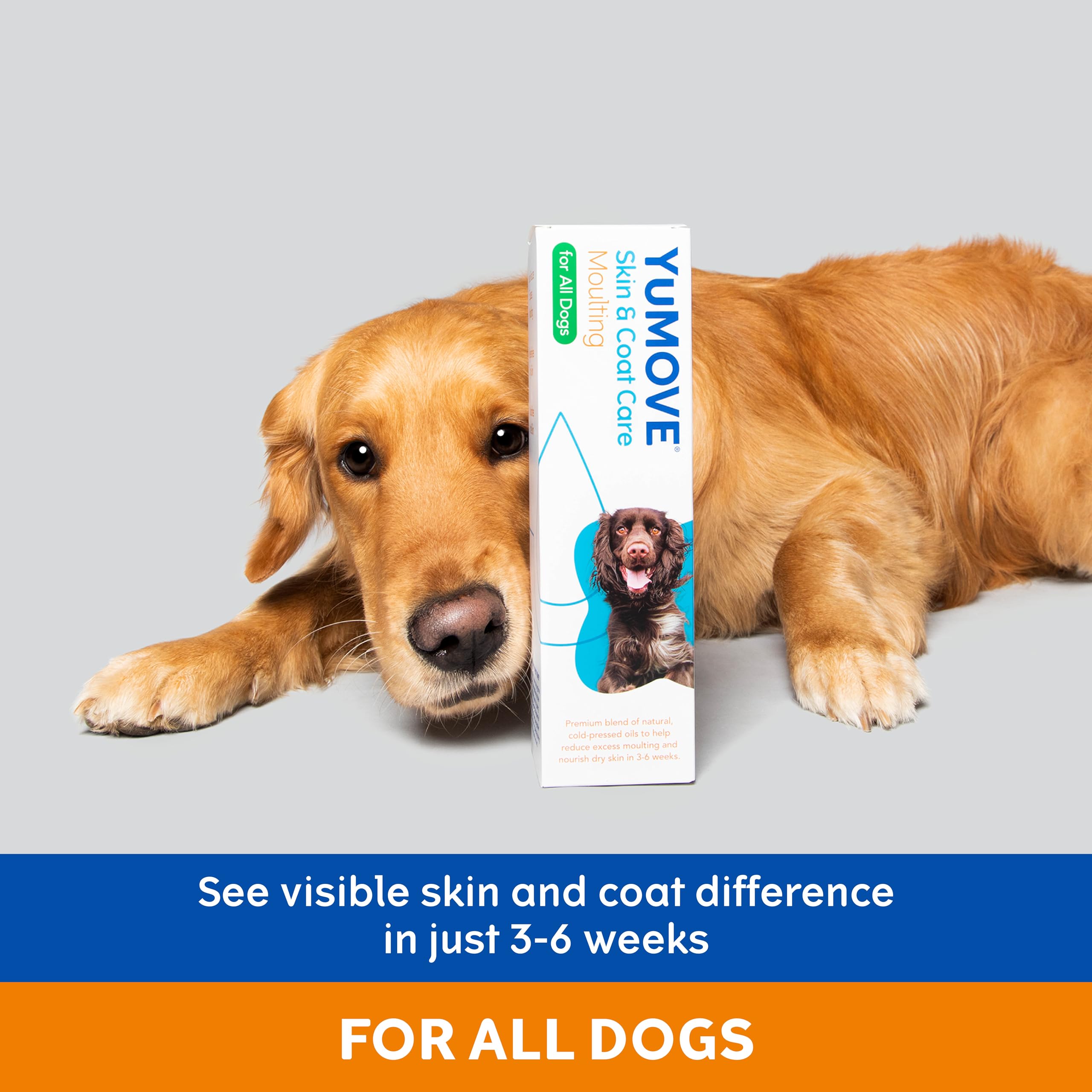 YuMOVE Skin & Coat Care Moulting Supplement for Dogs Oil | Reduces Excess Moulting | 500 ml 3