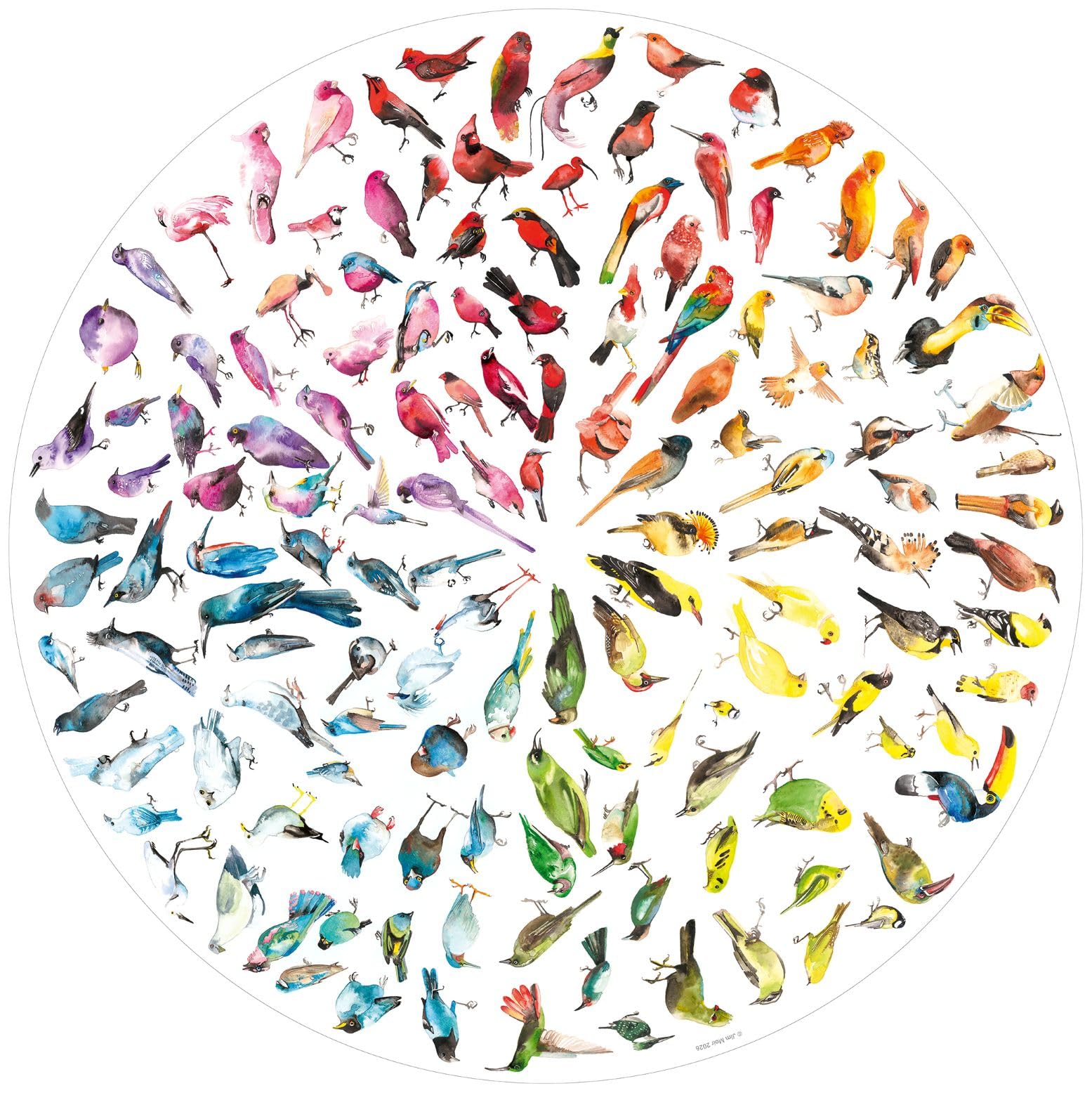 Ravensburger Bird Colour Wheel Circular Jigsaw Puzzle - 500 Pieces, 52cm Diameter