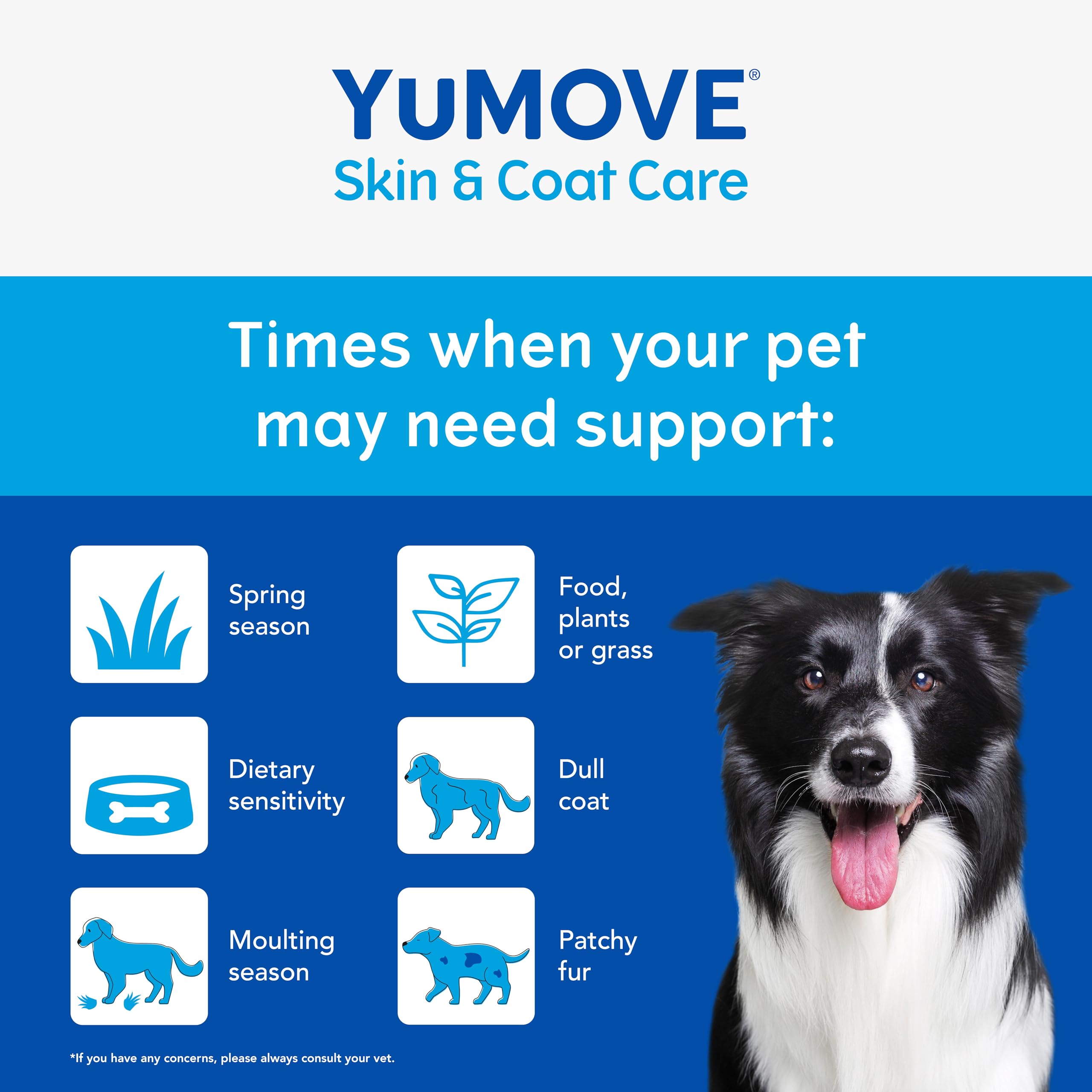 YuMOVE Skin & Coat Care Oil for Adult Dogs - Anti-Itch Support for Sensitive Skin | Salmon Flavor 4