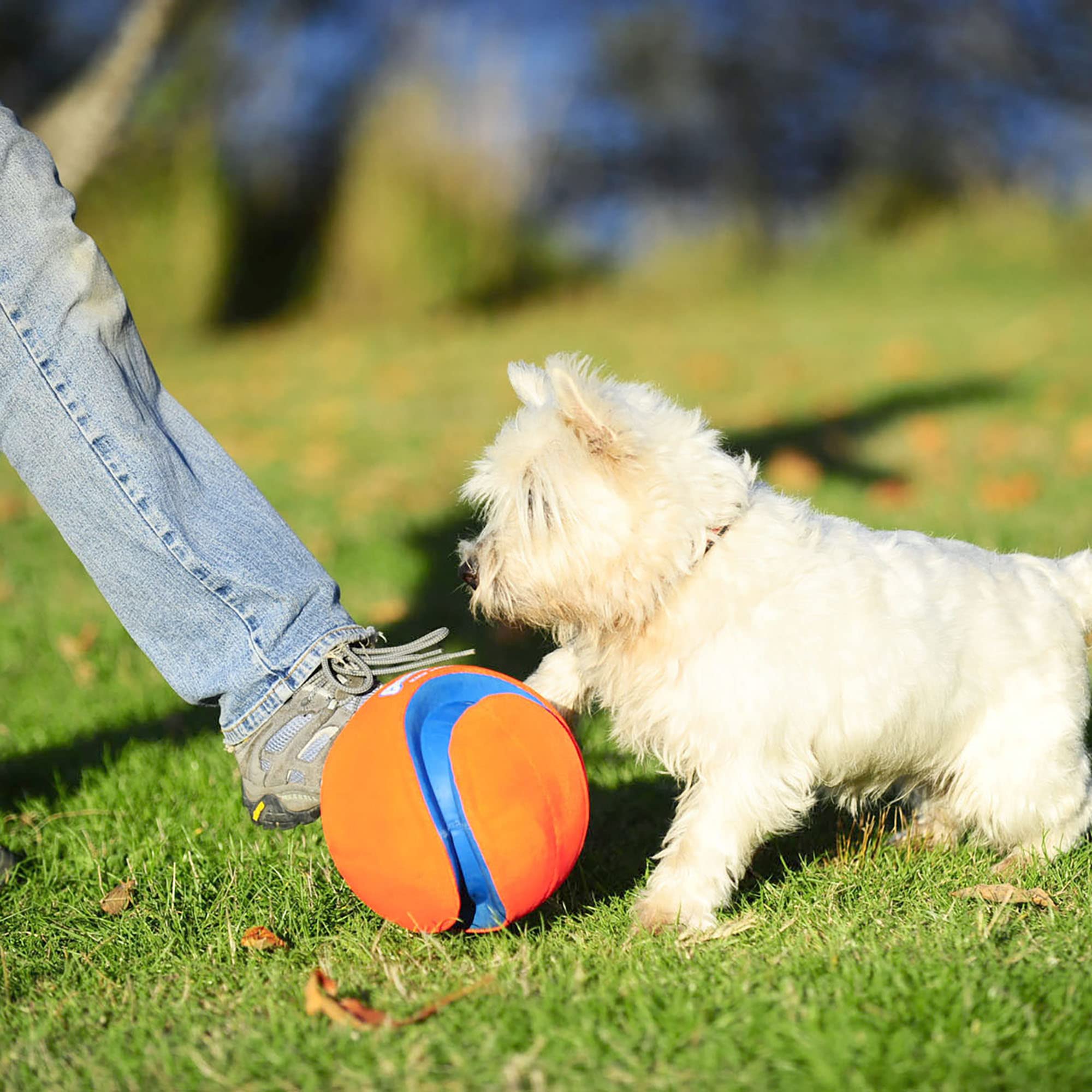 Chuckit! Kick Fetch Dog Toy - Large Size, Durable Rubber & Foam, Floats for Water Play