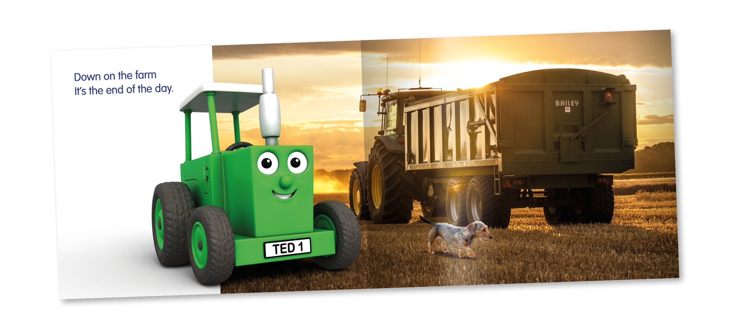 Tractor Ted - Time for Bed: Tractor Ted: 10 | Paperback | English 3