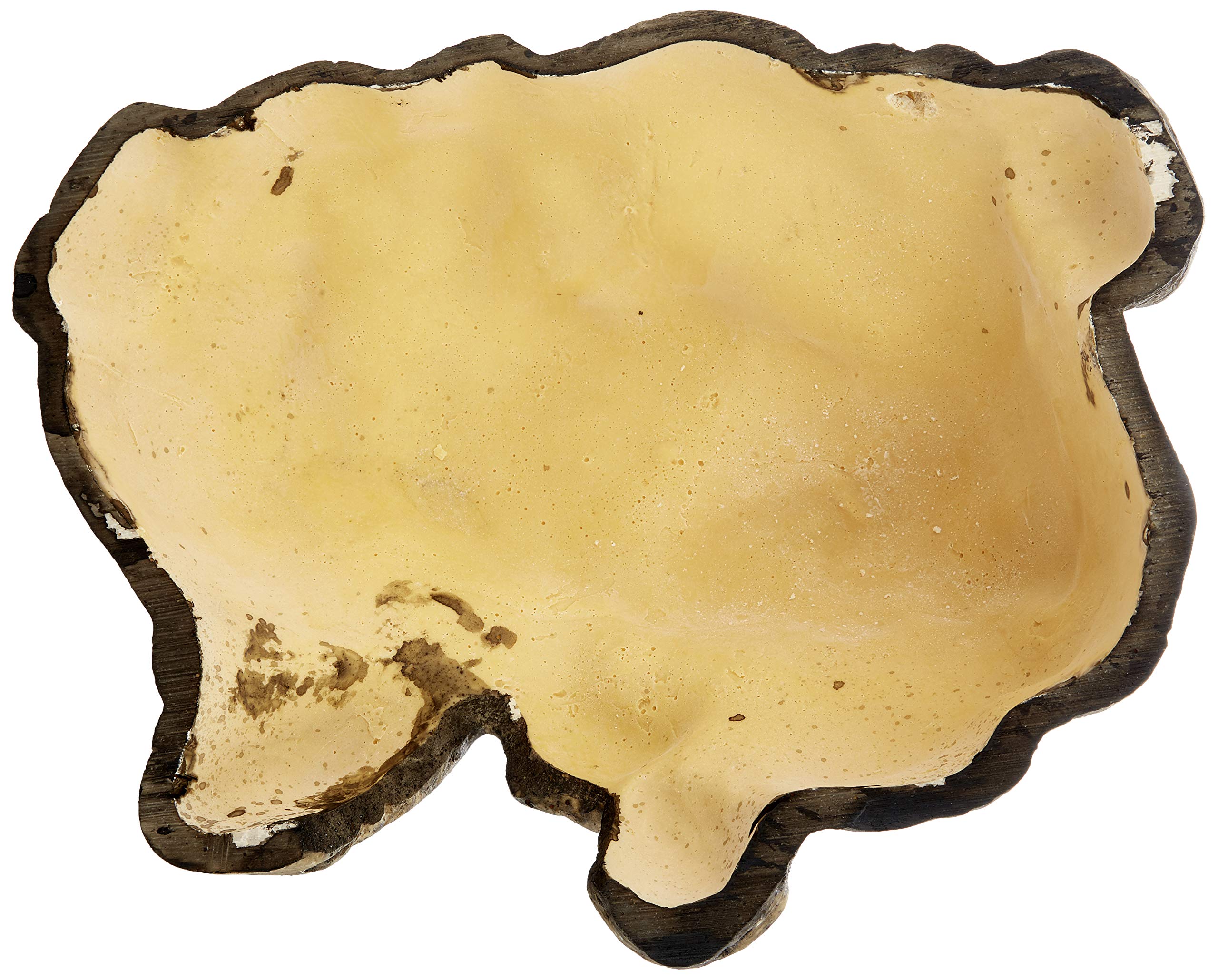 Exo Terra Reptile Cave Hideout - Natural Look Resin for Terrariums | Large Size | Earth Tones