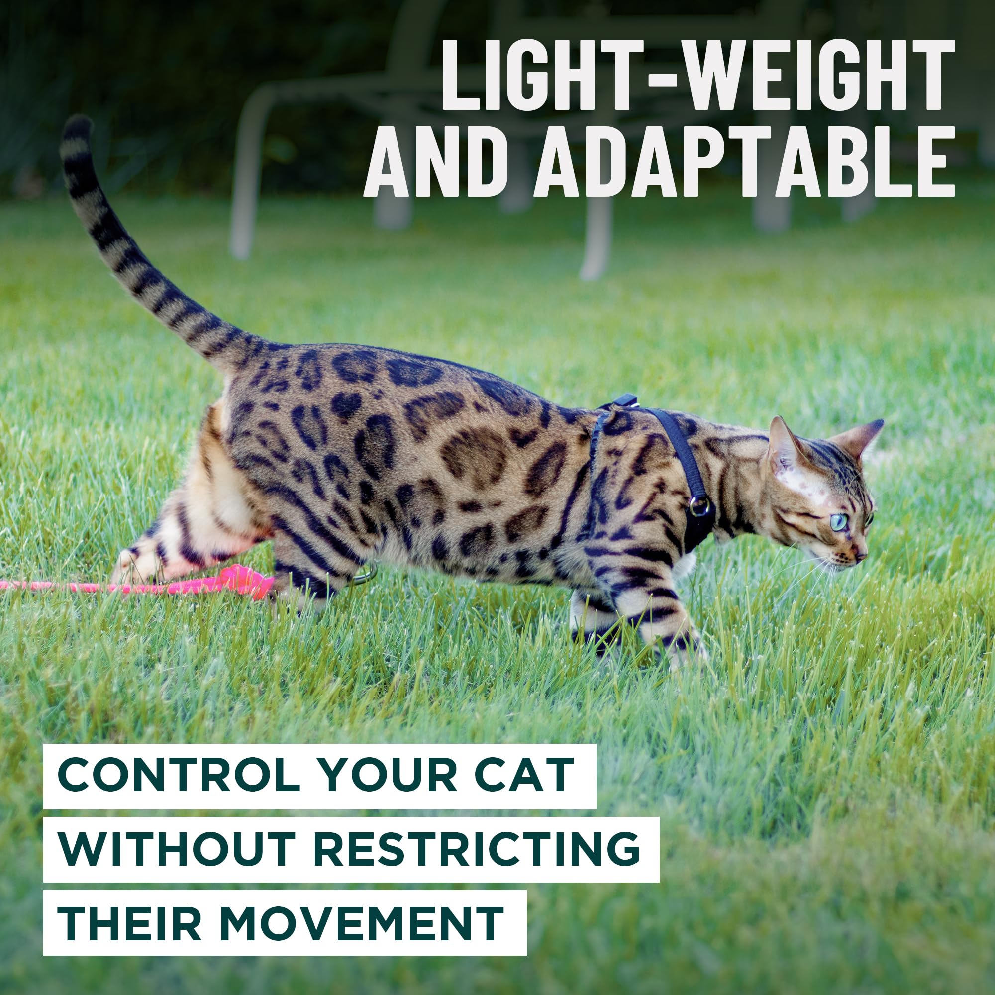 OutdoorBengal Escape Proof Cat Harness and Leash Set - Choke Free, Lightweight Neoprene | Medium, Black 7
